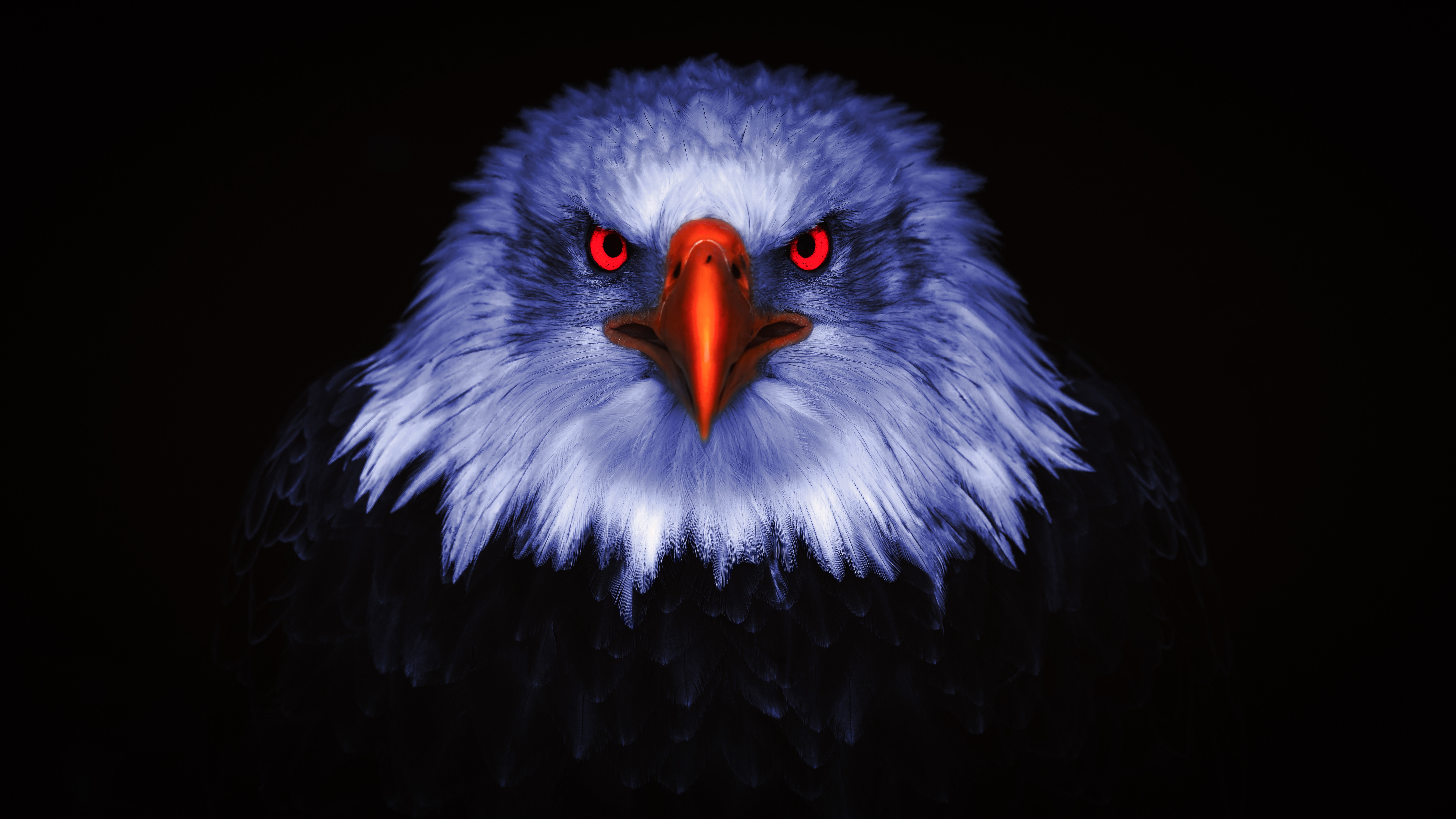 7680x4320 Eagle Dark Illustration 8k 8k HD 4k Wallpapers, Images,  Backgrounds, Photos and Pictures
