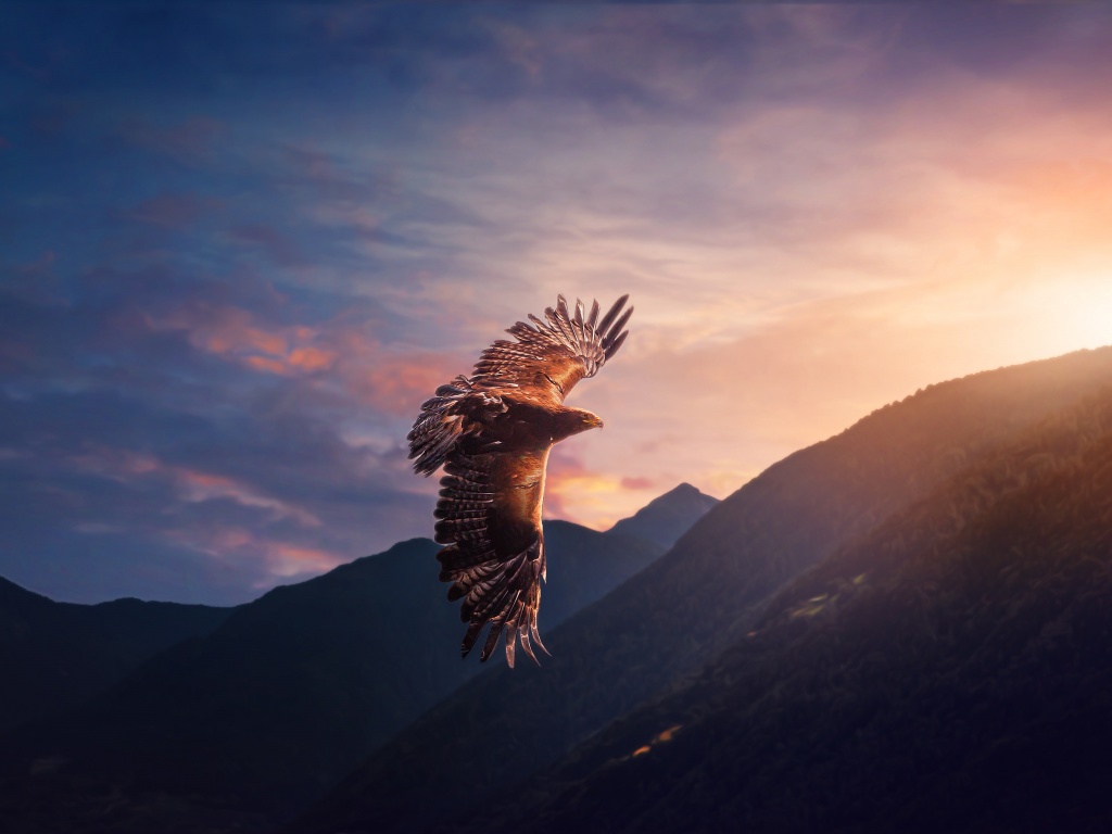 Eagle Wallpaper 4K, Sunset, Mountains, #7203