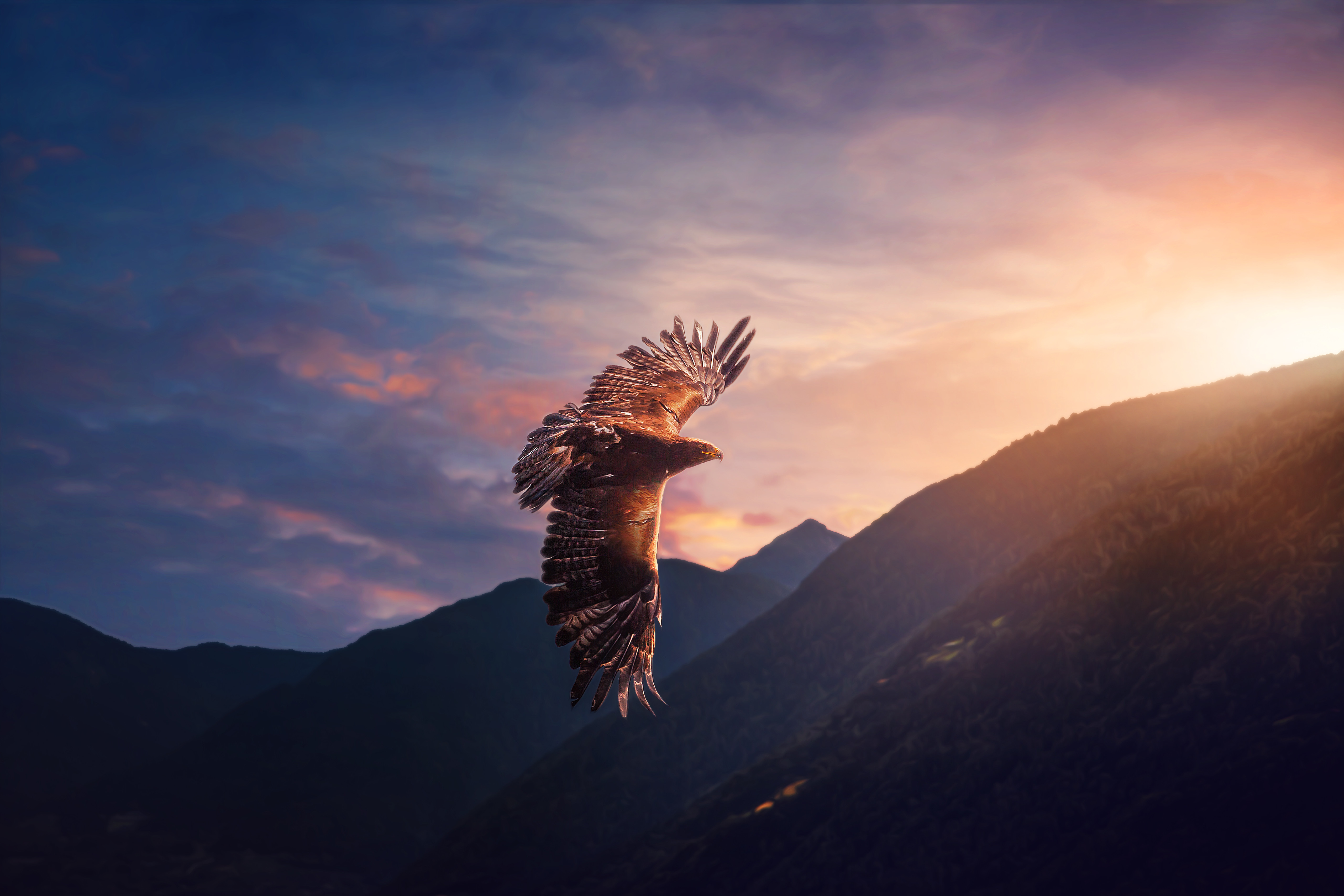 У парящих птиц большие крылья. Парящий Орел. Птицы в горах. Орел в полете. Орел парящий в небе.