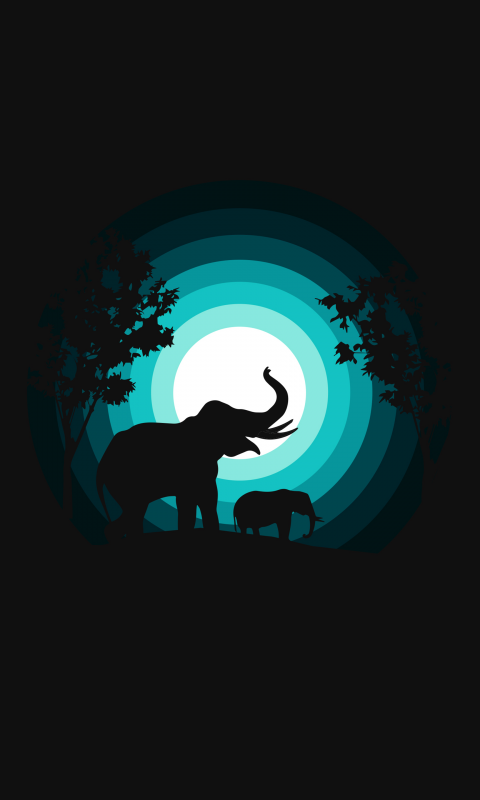 25 Elephant iPhone Backgrounds  Wallpaperboat