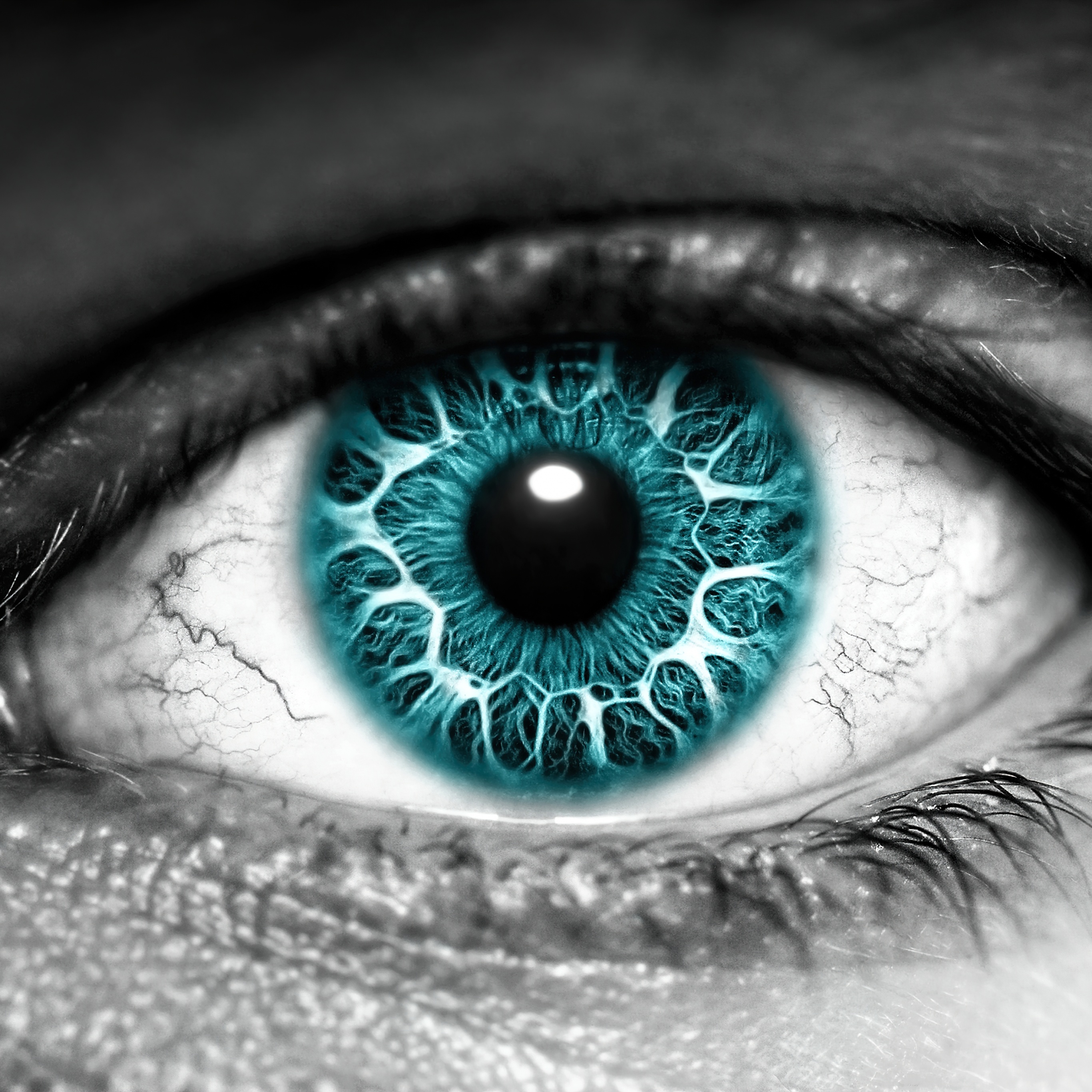 Eye Wallpaper 4K, Iris, Blue eyes, Closeup, Macro