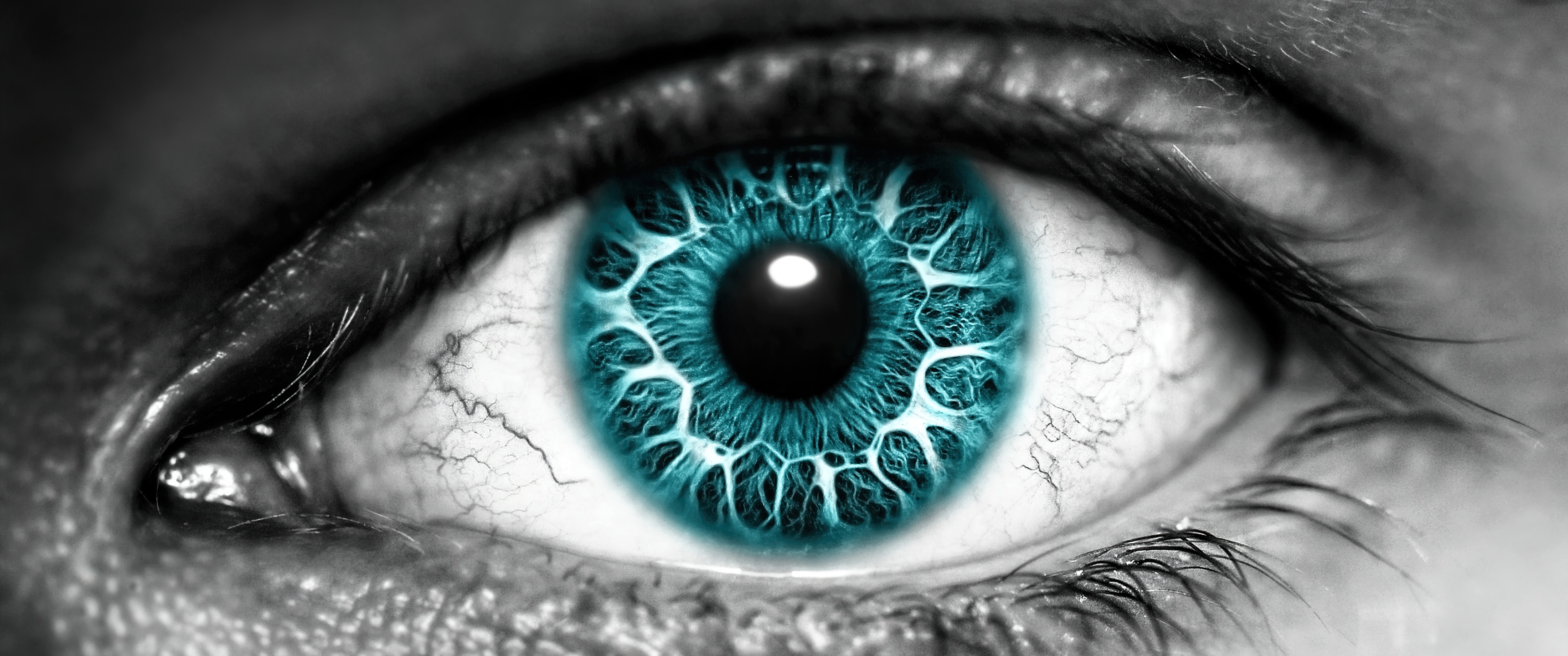 Eye Wallpaper 4K, Iris, Blue eyes, Closeup, Macro