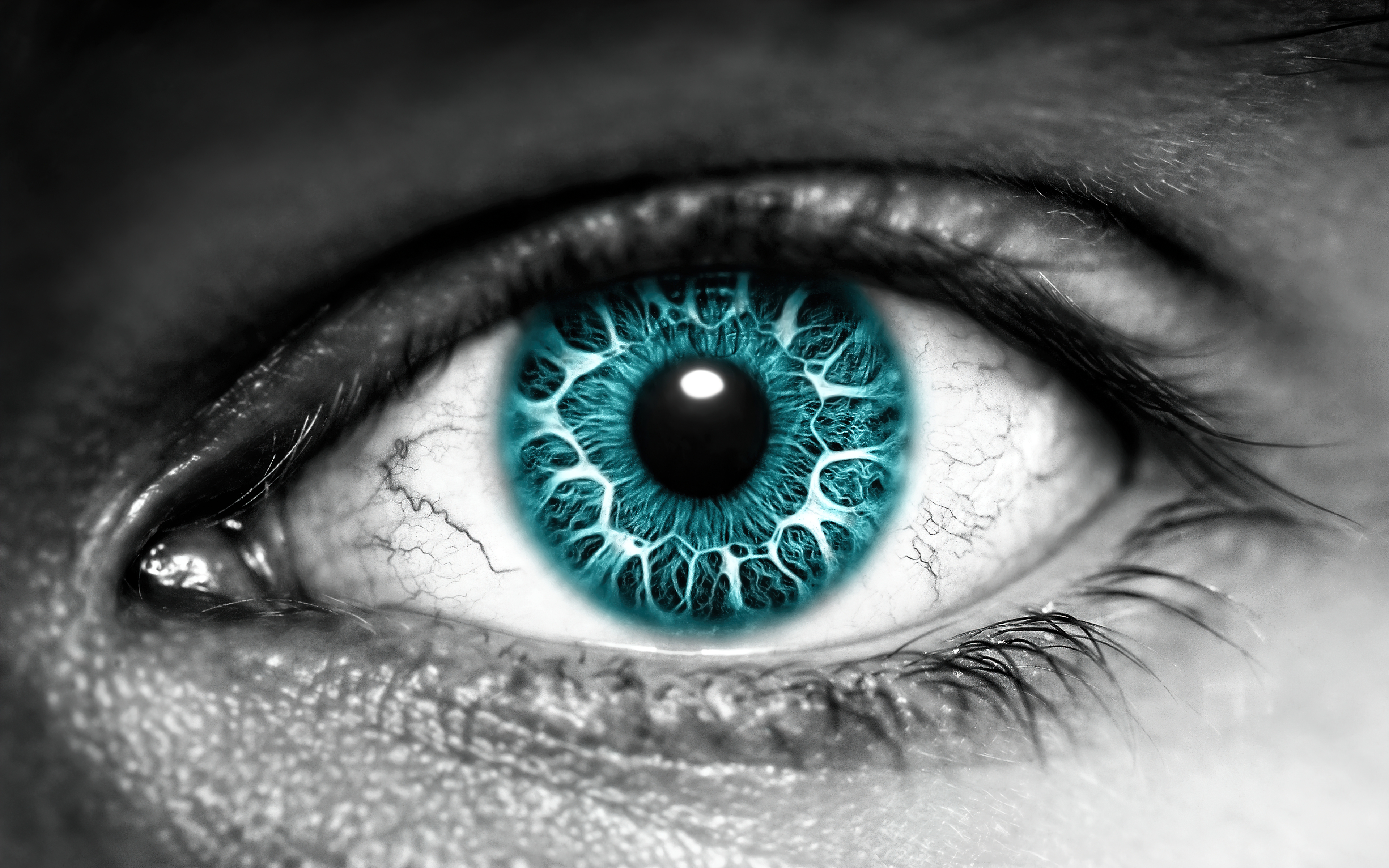 Eye Wallpaper 4K, Iris, Blue eyes, Photography, #6037