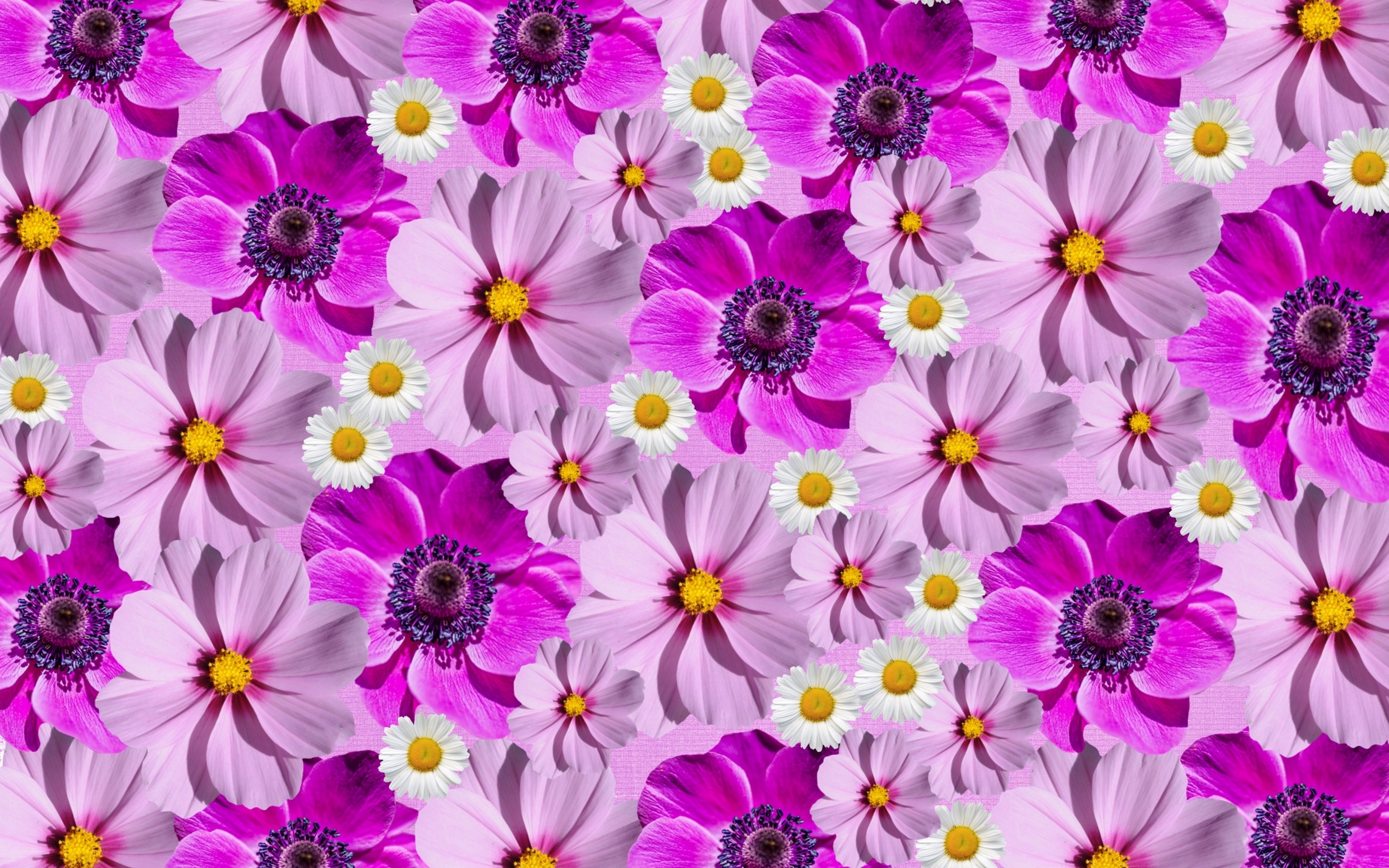 100,000+ Free Spring Flowers & Spring Images - Pixabay