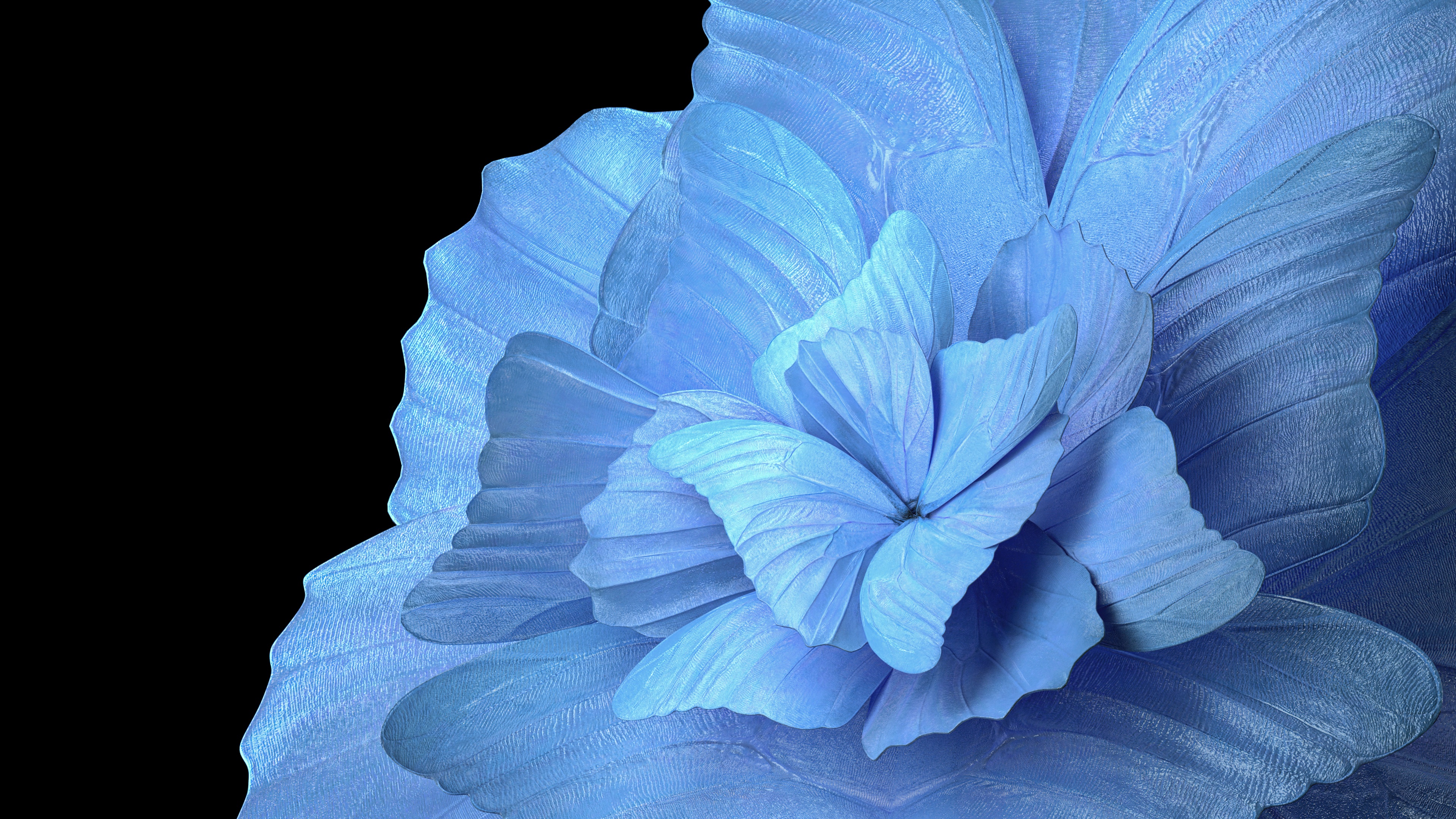 Floral Background Wallpaper 4K, Blue background, Abstract, #7929
