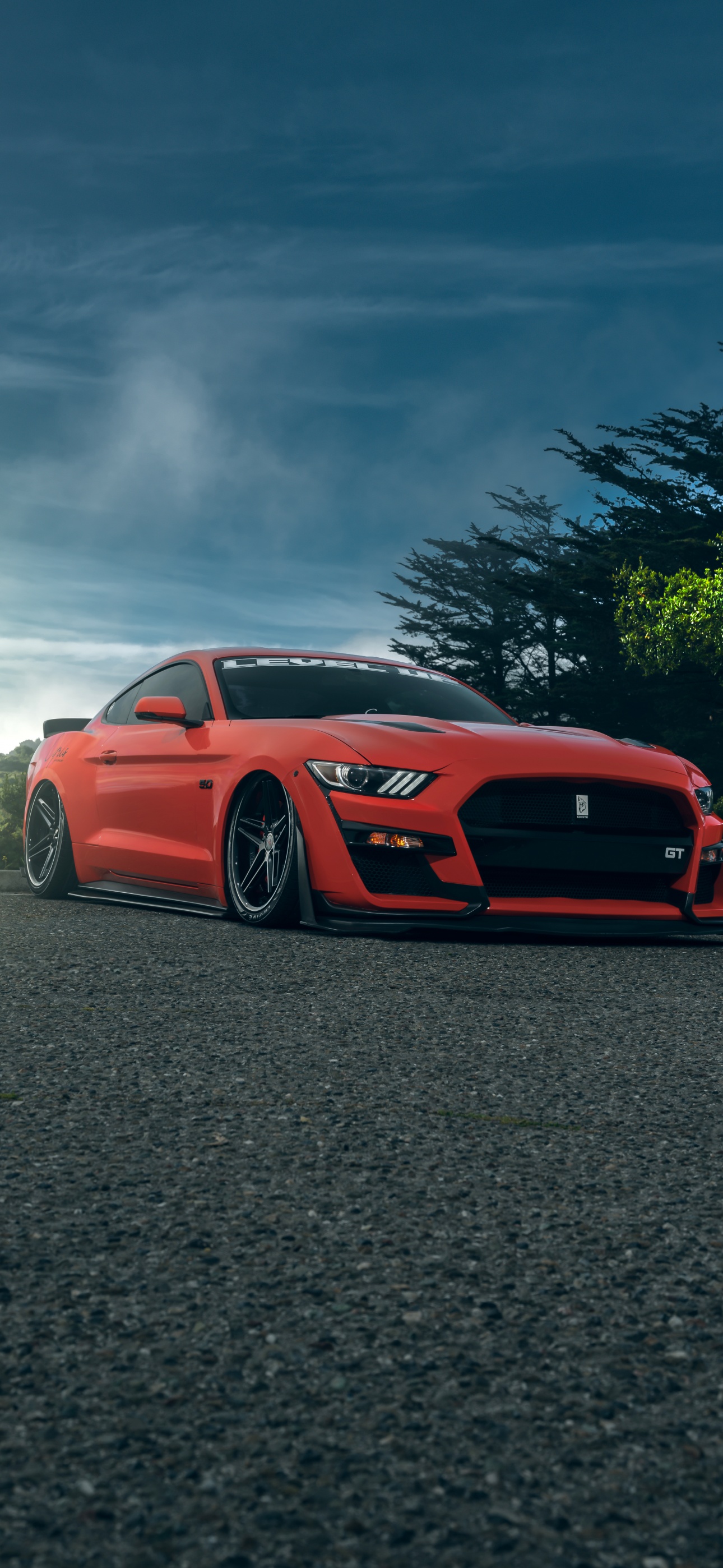 Ford Mustang Shelby GT500 Wallpaper 4K Sports cars 5K Cars 9769