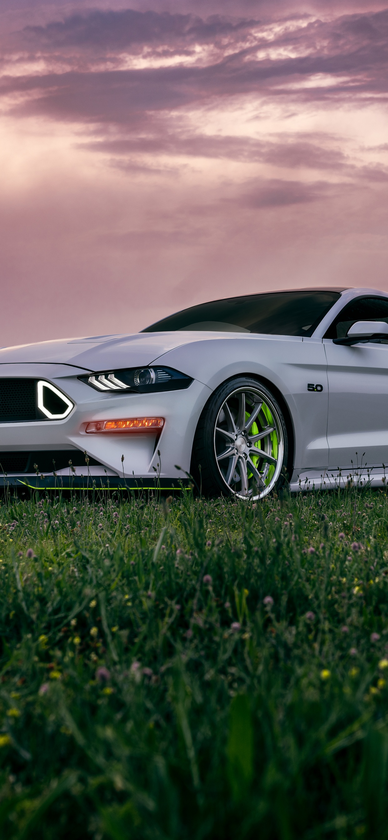Everything You Need To Know About The Evil Ford Mustang Dark Horse -  ZigWheels