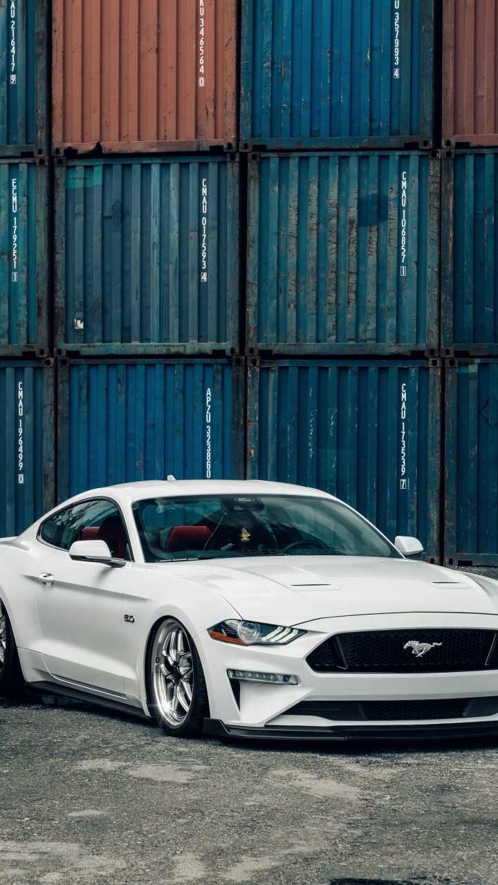 Vehicles Ford Mustang Shelby HD Wallpaper