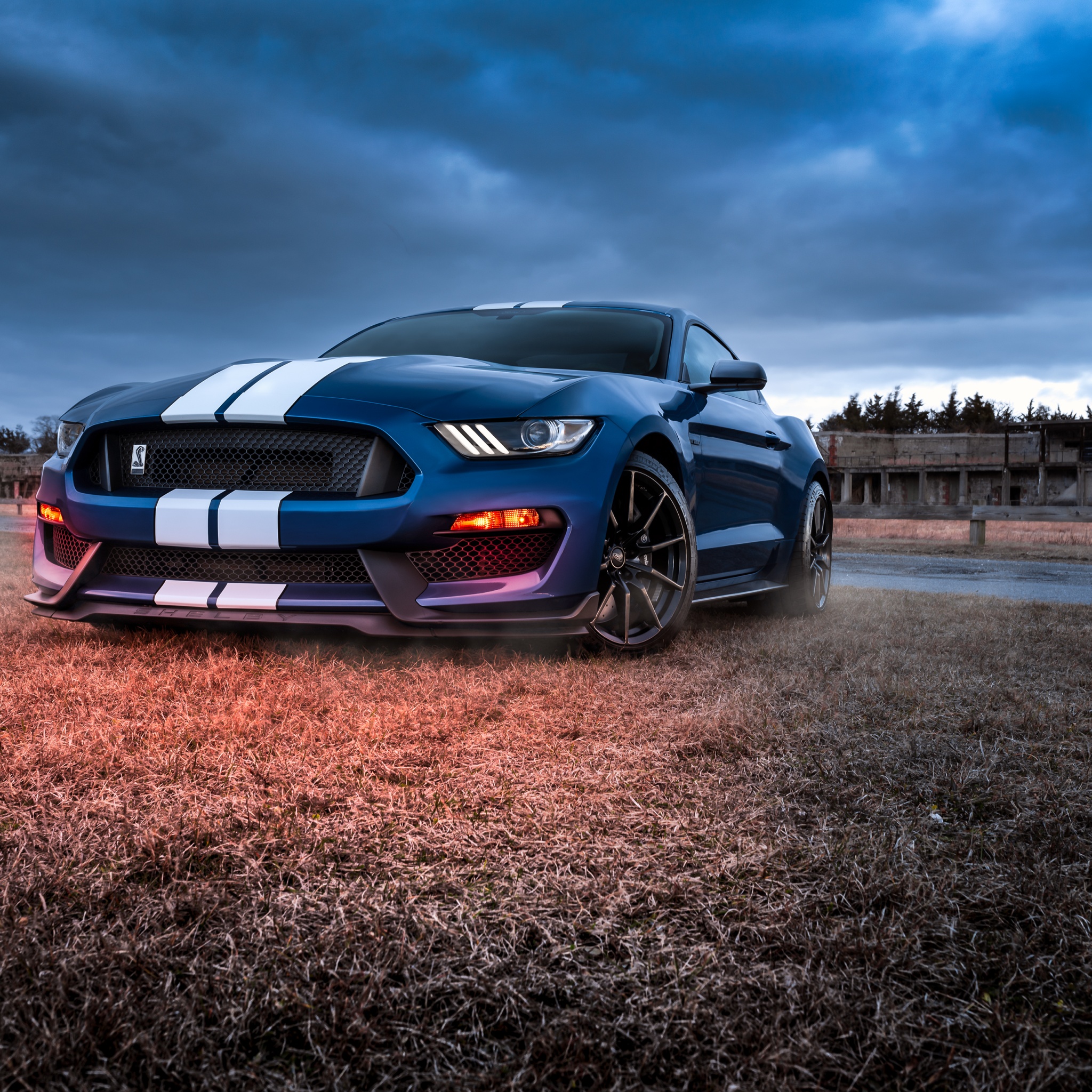 Ford Mustang Shelby GT500 Wallpaper 4K, Muscle cars, Cars, #2718