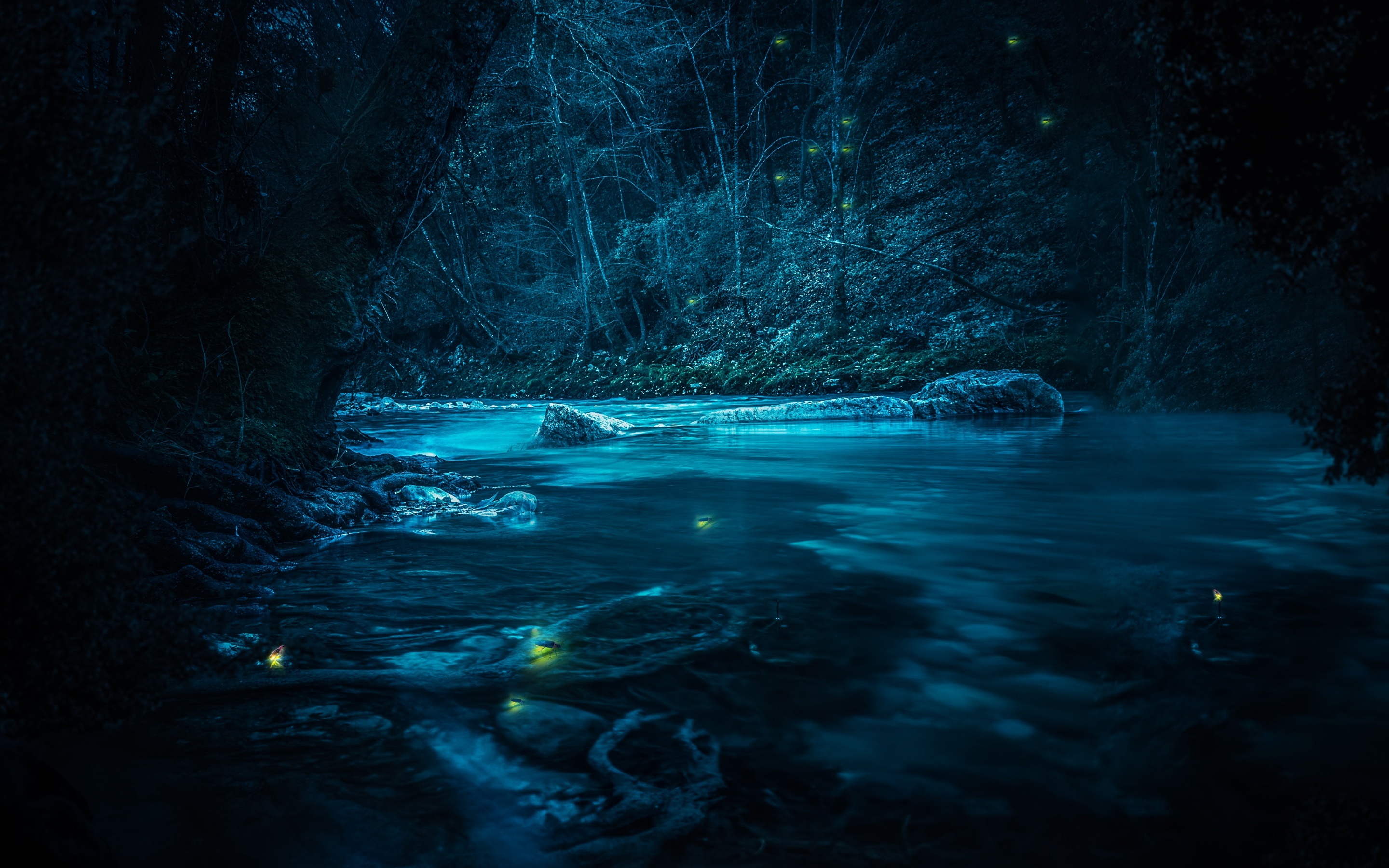 Forest 4K Wallpaper, River, Night, Dark, Magical, Crescent Moon, Blue