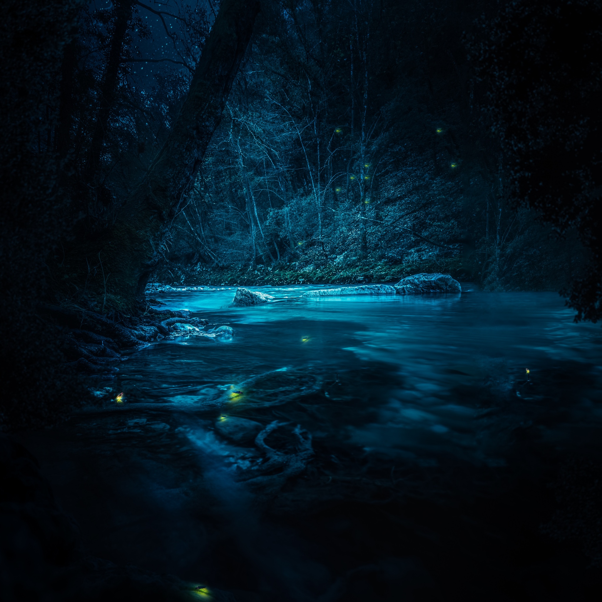Forest 4K Wallpaper, River, Night, Dark, Magical, Crescent Moon, Blue