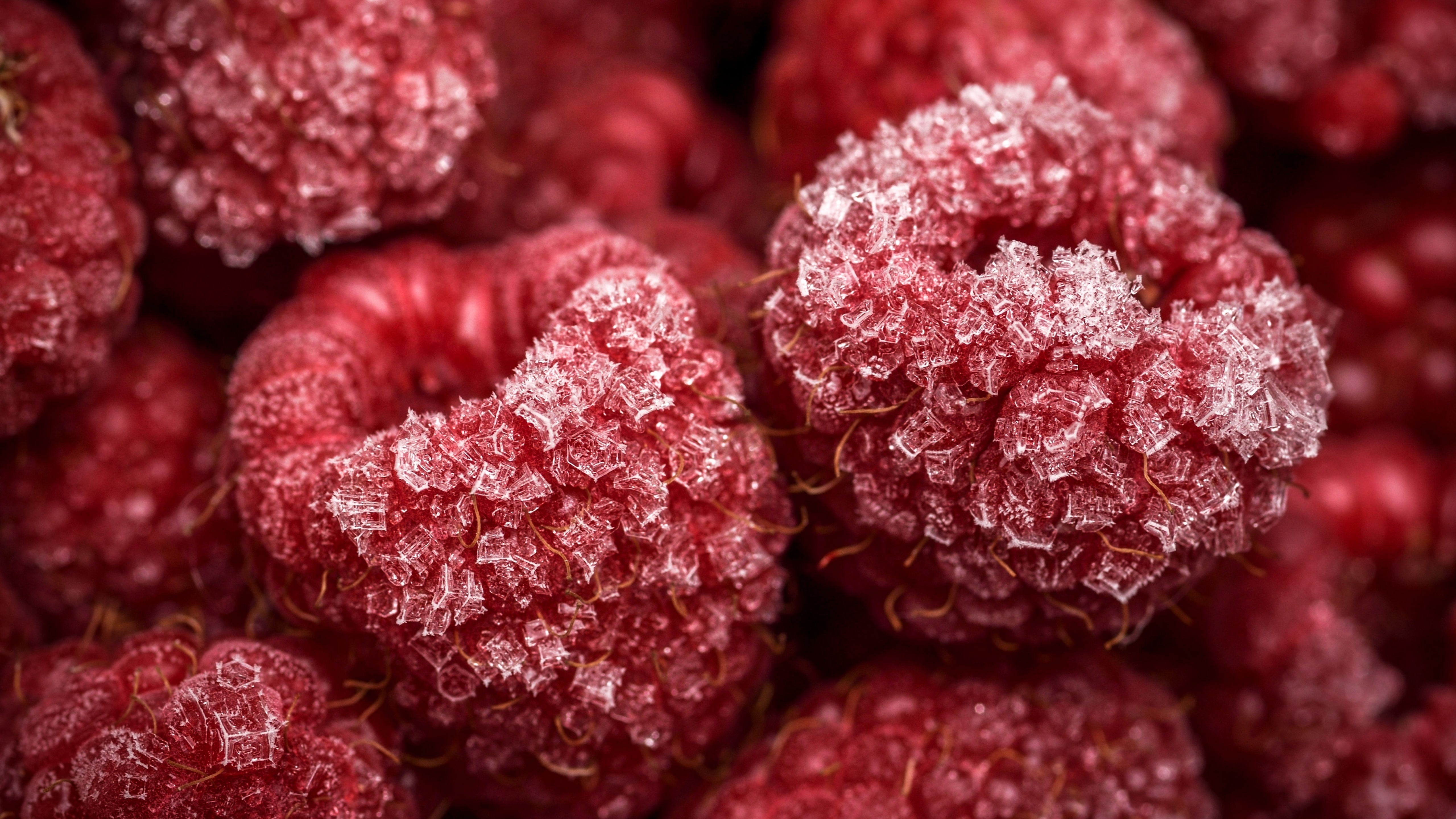 Frozen Raspberries Wallpaper 4K, Red fruits, Closeup, Macro, Food, #2428