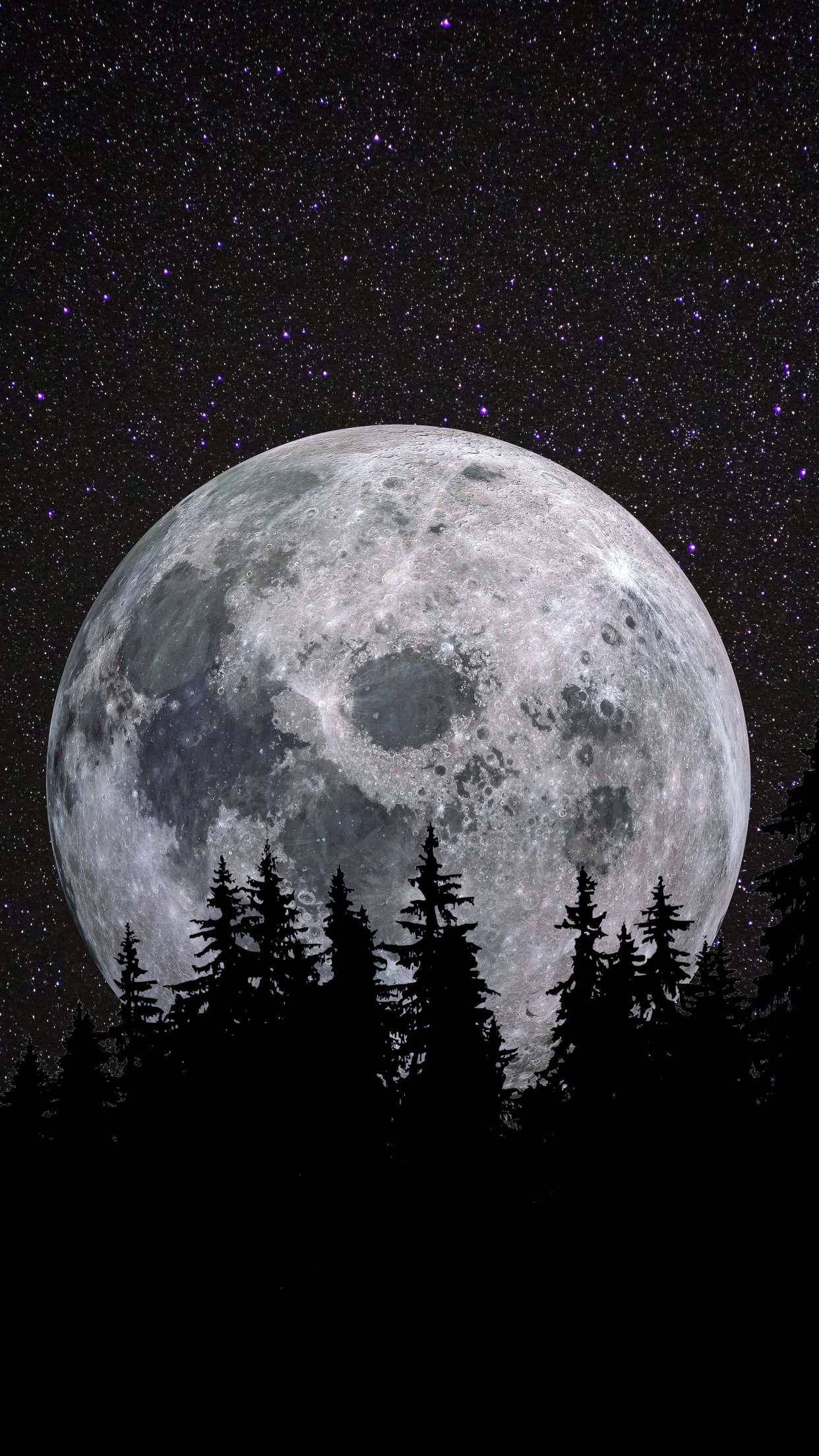 Full moon 4K Wallpaper, Forest, Night, Dark, Starry sky ...