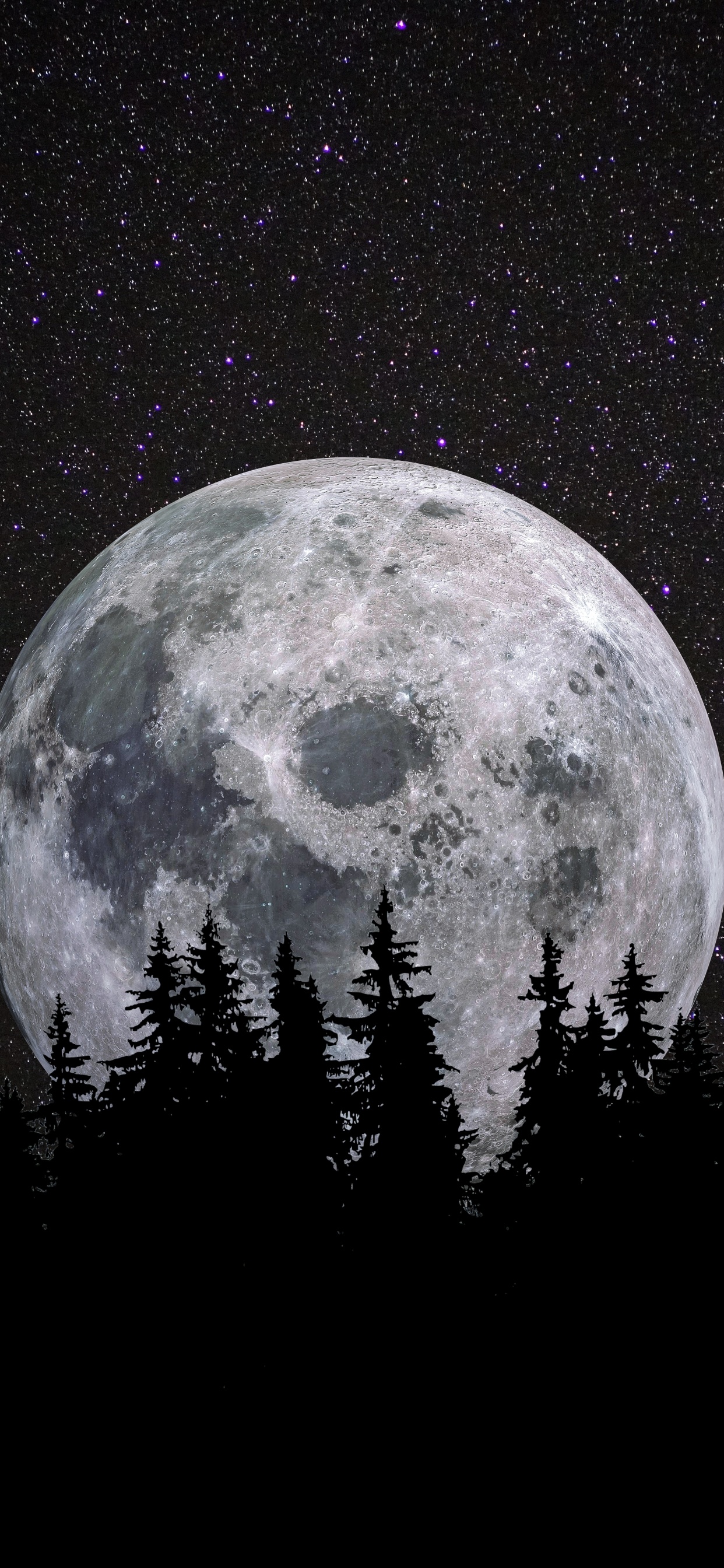Full moon Wallpaper 4K, Forest, Night, Dark, Nature, #1684