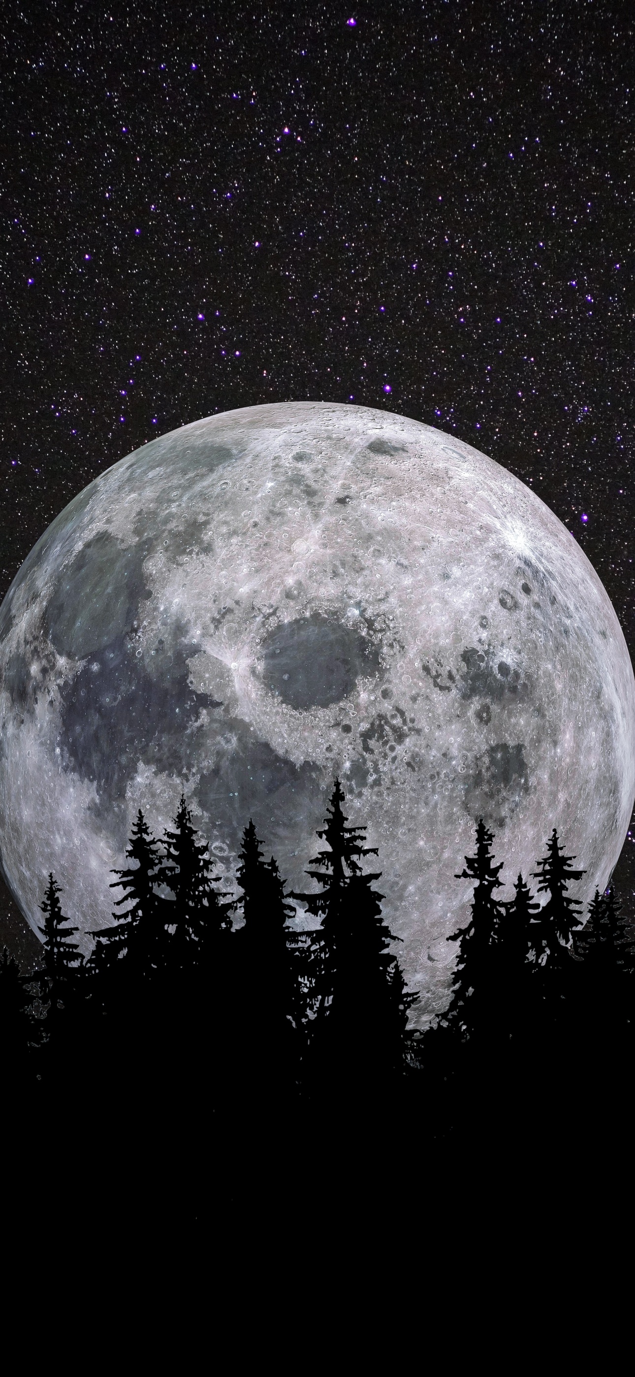 Full moon Wallpaper 4K, Forest, Night, Dark, Starry sky, #1684