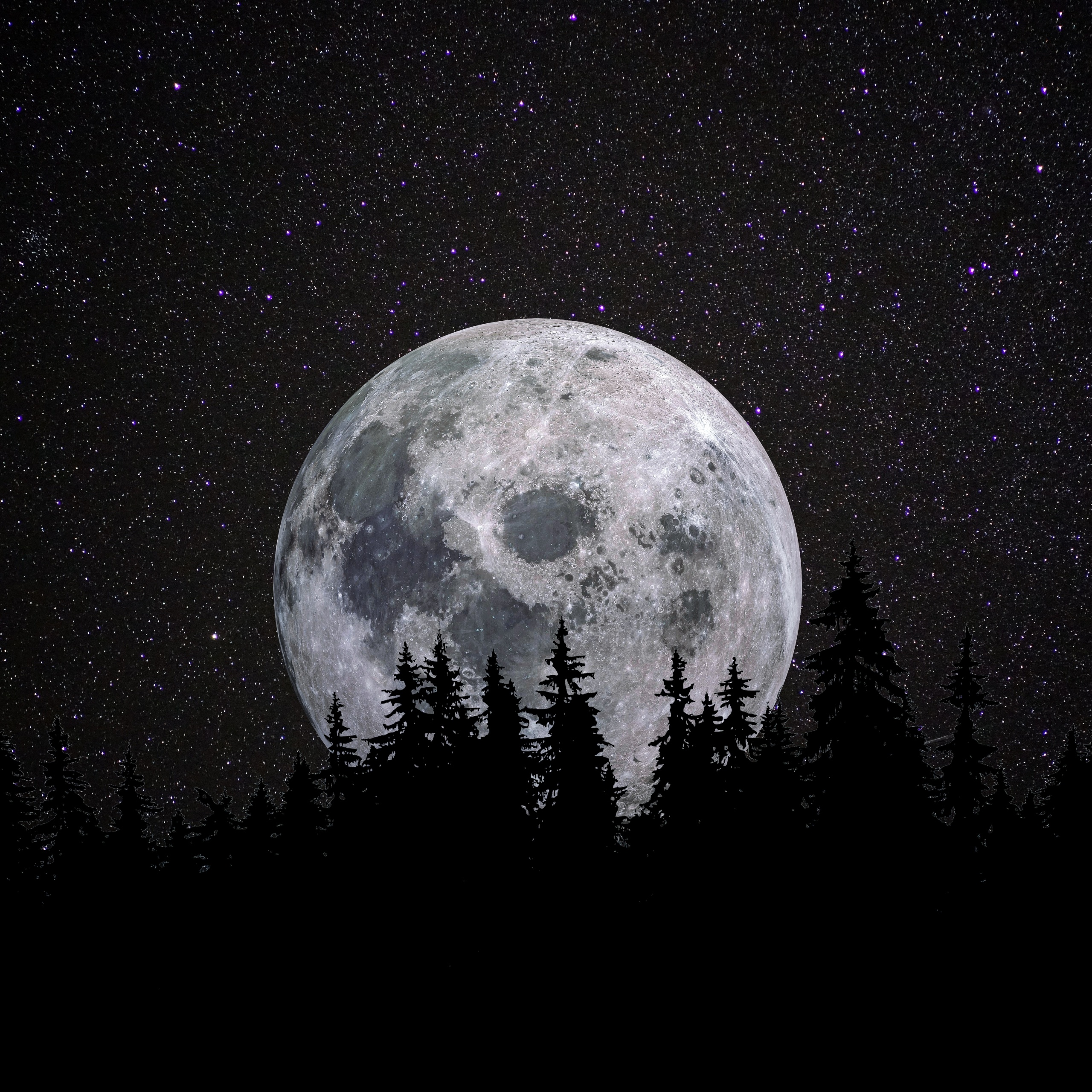 Full moon Wallpaper 4K Forest Night Dark Starry sky 1684