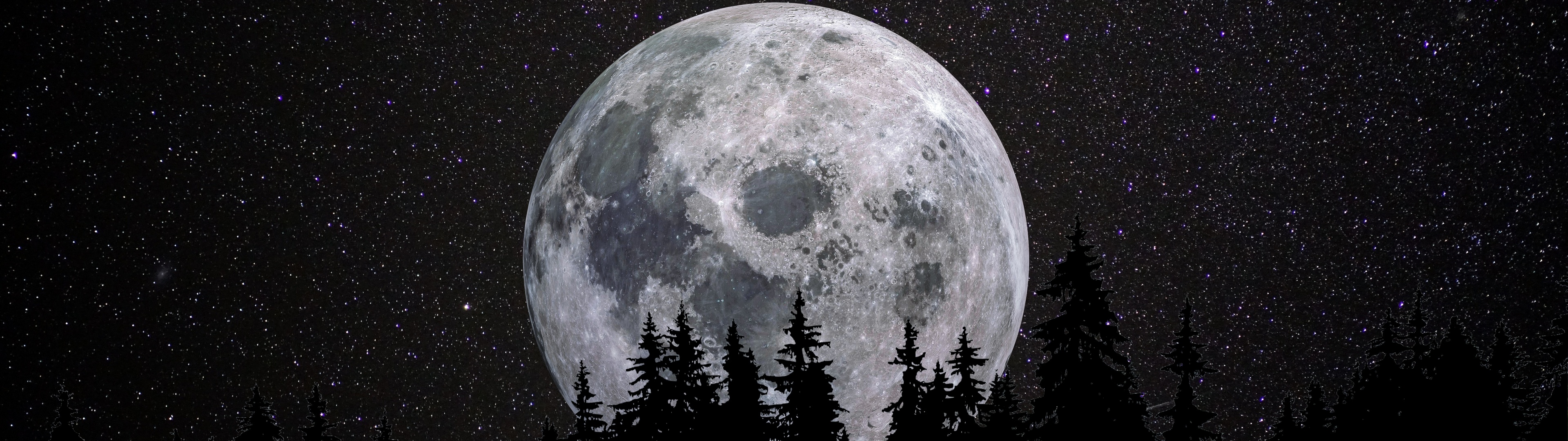 Full moon Wallpaper 4K, Forest, Night, Dark, Nature, #1684