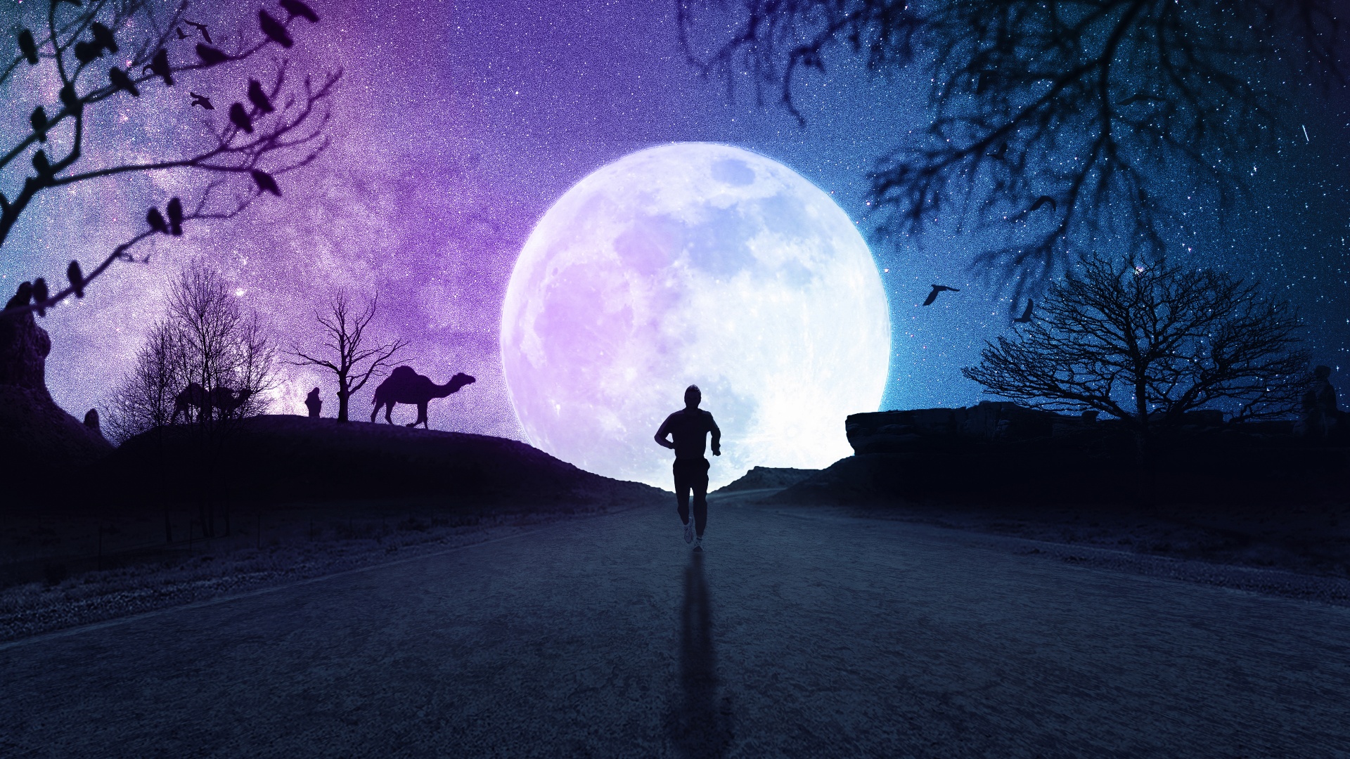 Full moon 4K Wallpaper, Silhouette, Running, Starry sky, Night, Road