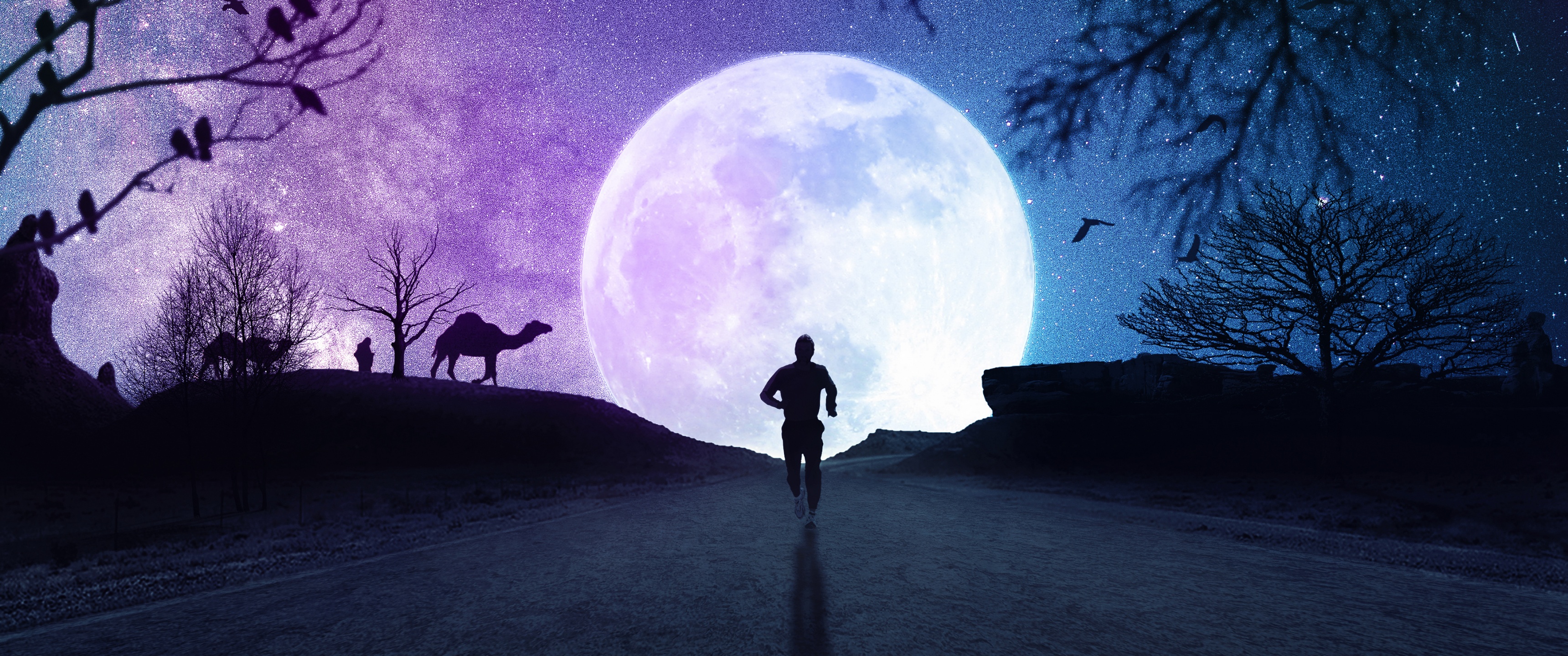 Full moon Wallpaper 4K, Silhouette, Running, Fantasy, #323