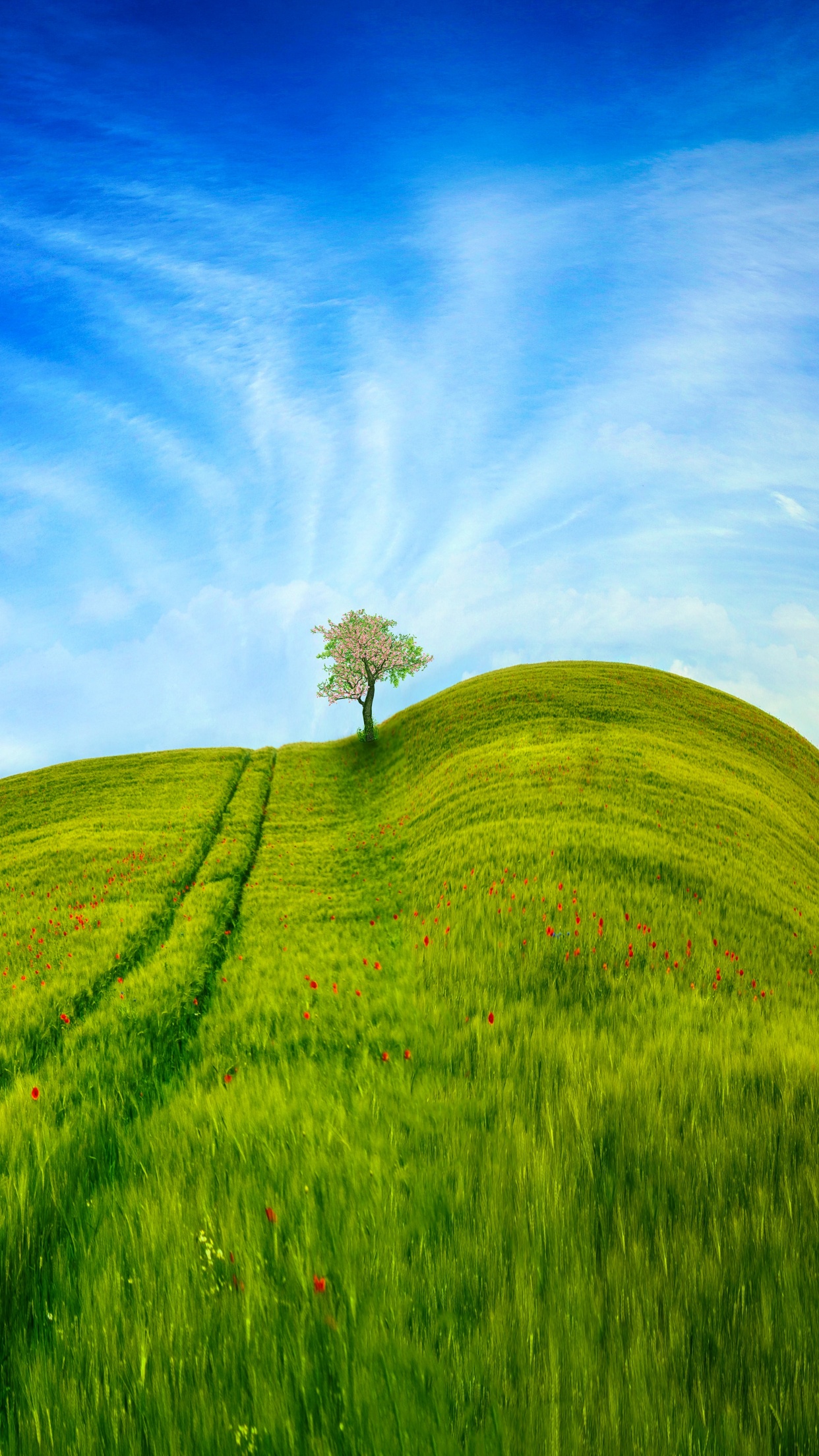 Grass Landscape Wallpaper 4K, Blue Sky, Tree, Clear sky, Beautiful