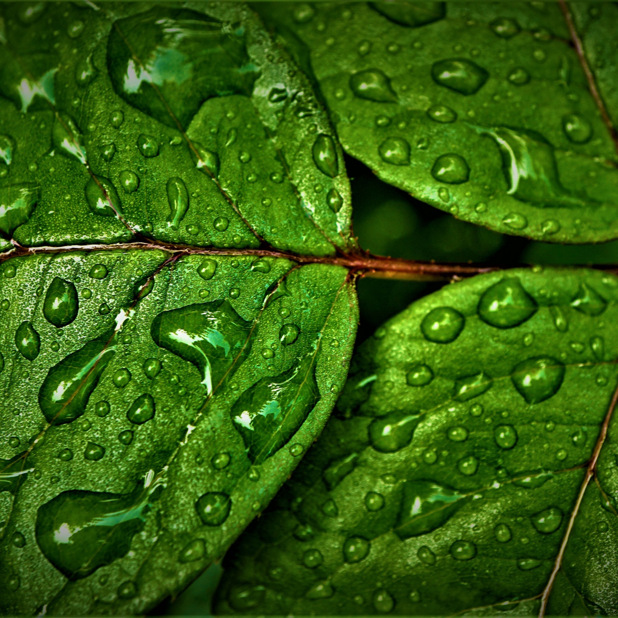 Green Water Wallpapers  Top Free Green Water Backgrounds  WallpaperAccess