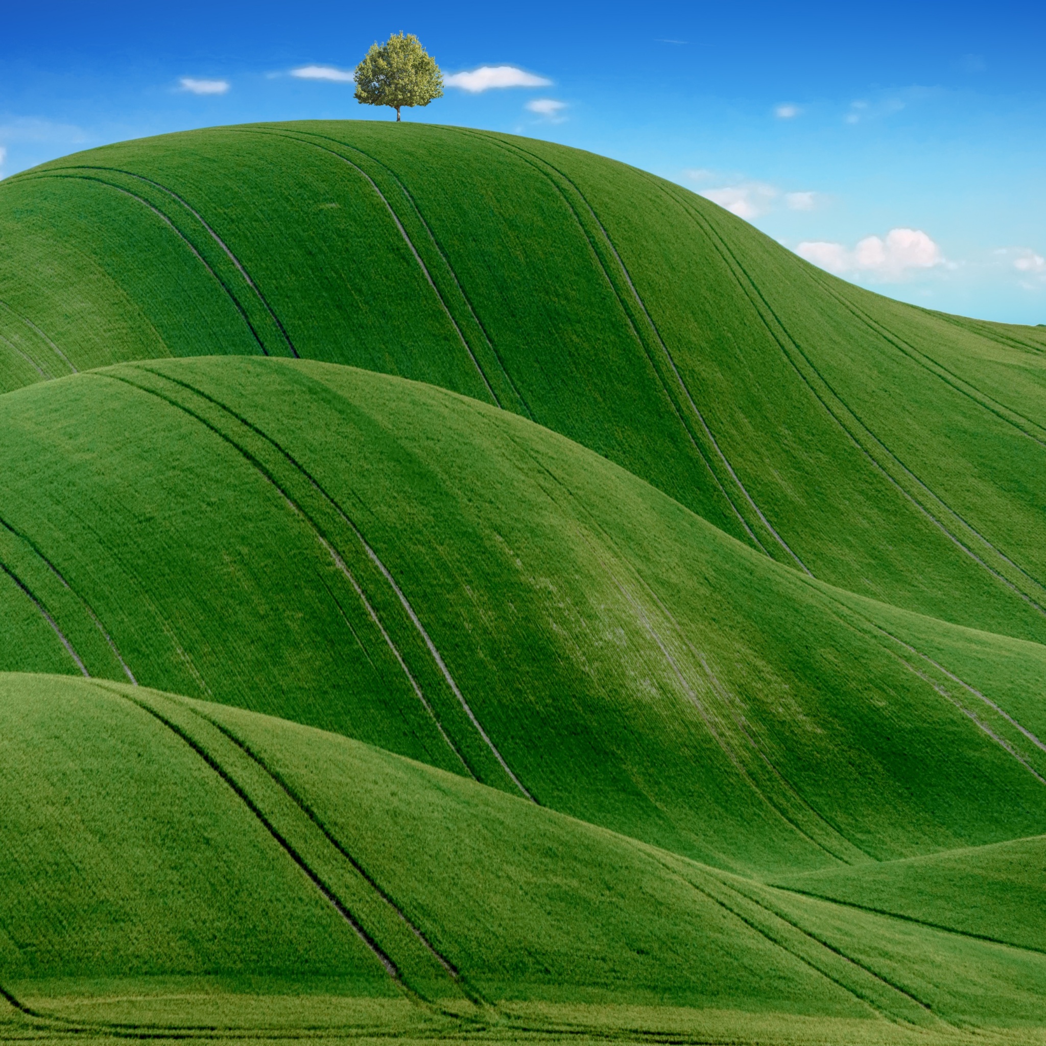 Green Meadow Wallpaper 4K, Countryside, Agriculture, Hills, Blue Sky