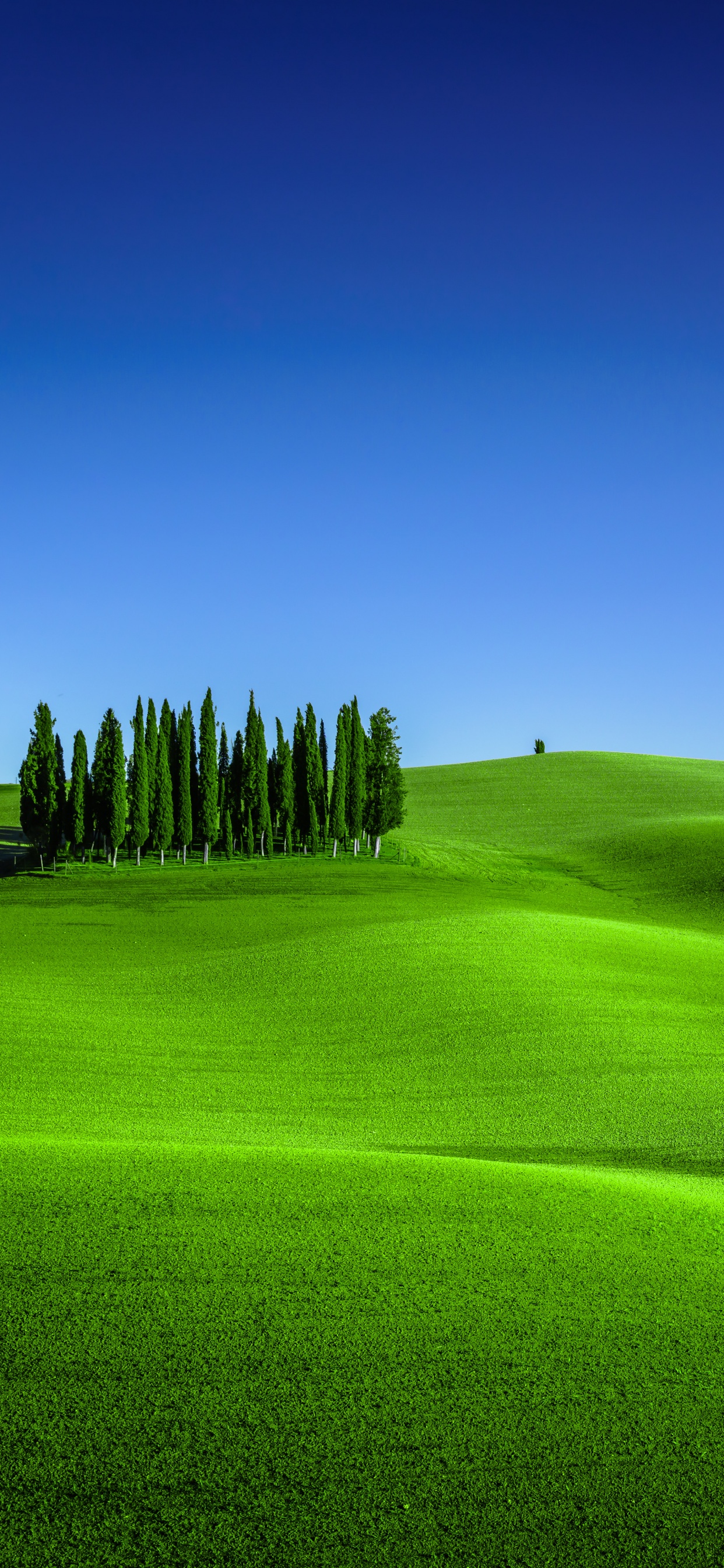Green Meadow Wallpaper 4K, Torrenieri, Tuscany, Nature, #6886