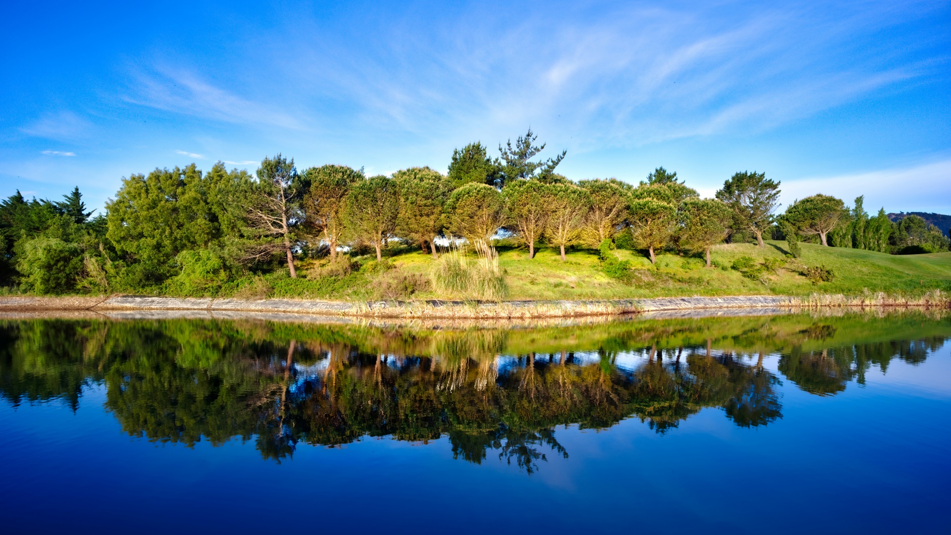 Green Trees 4K Wallpaper, Blue Sky, Golf course, Pond, Water