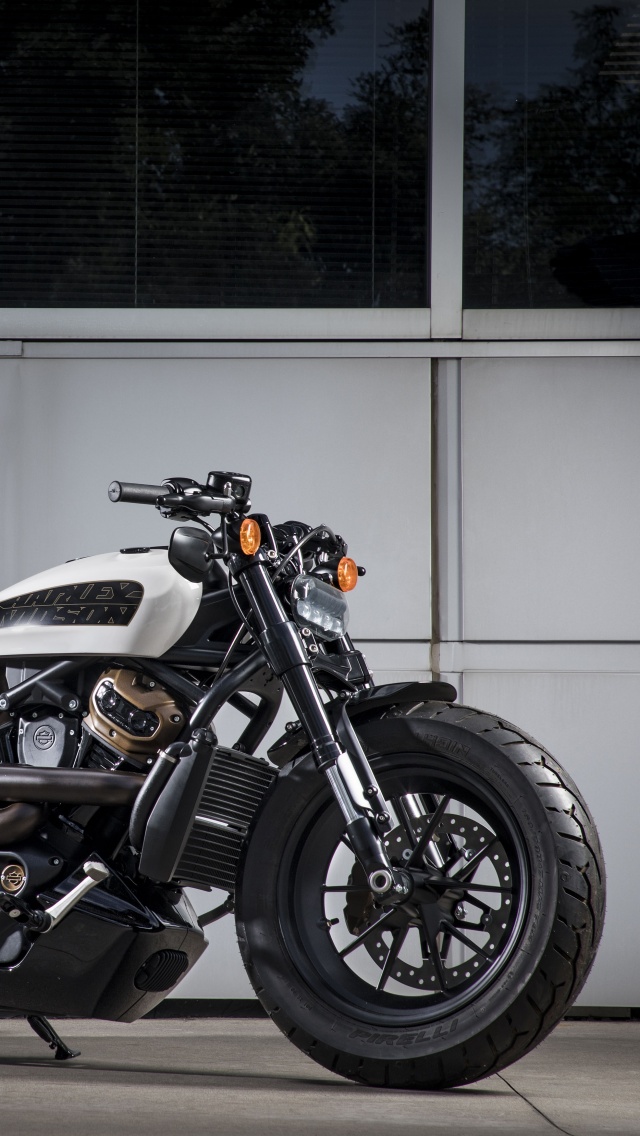 4K Wallpaper Harley Davidson Custom 1250 Prototype 2022 