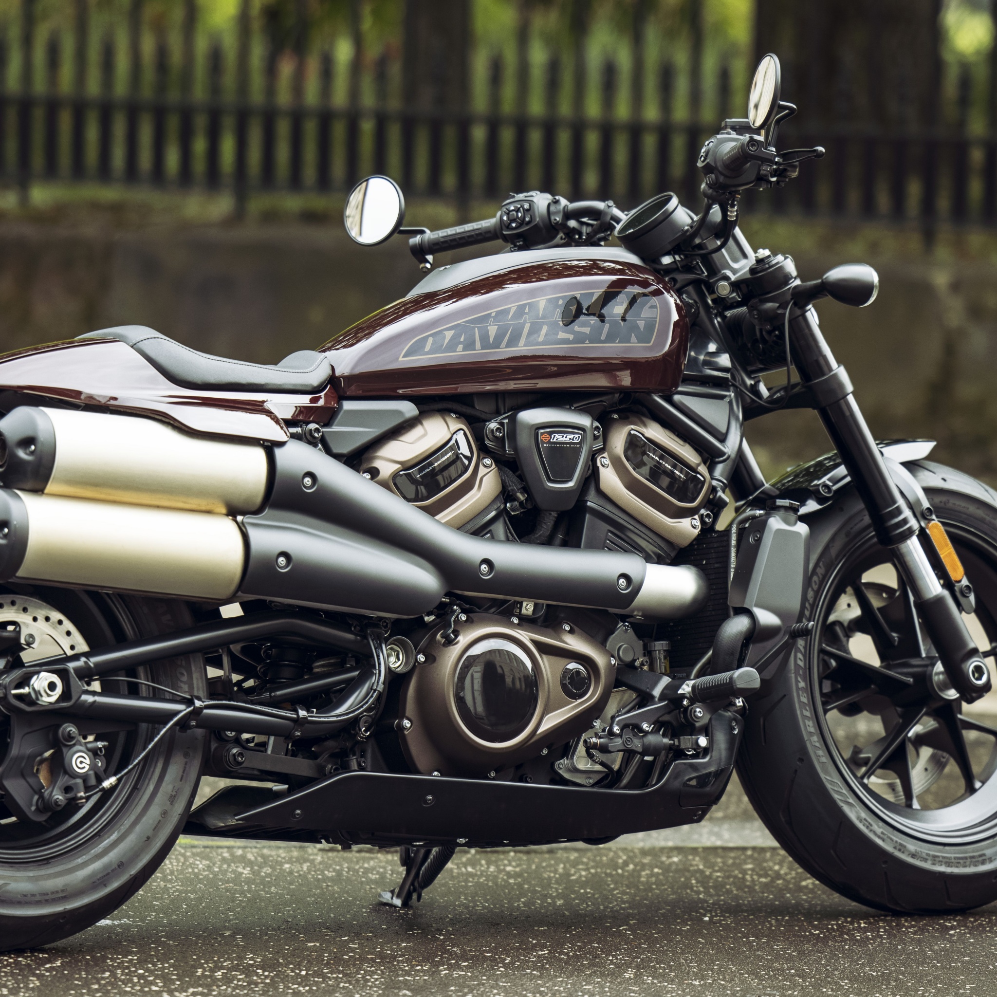 Download Monochrome Harley Davidson Mobile Wallpaper  Wallpaperscom