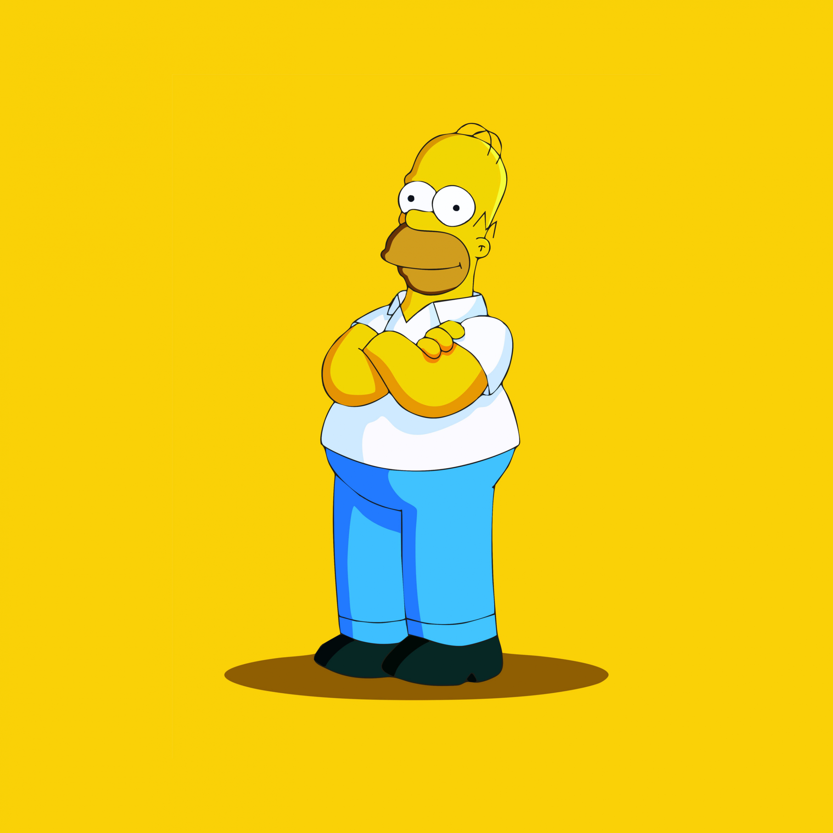 The simpsons cartoon Bart Simpson 4K wallpaper download
