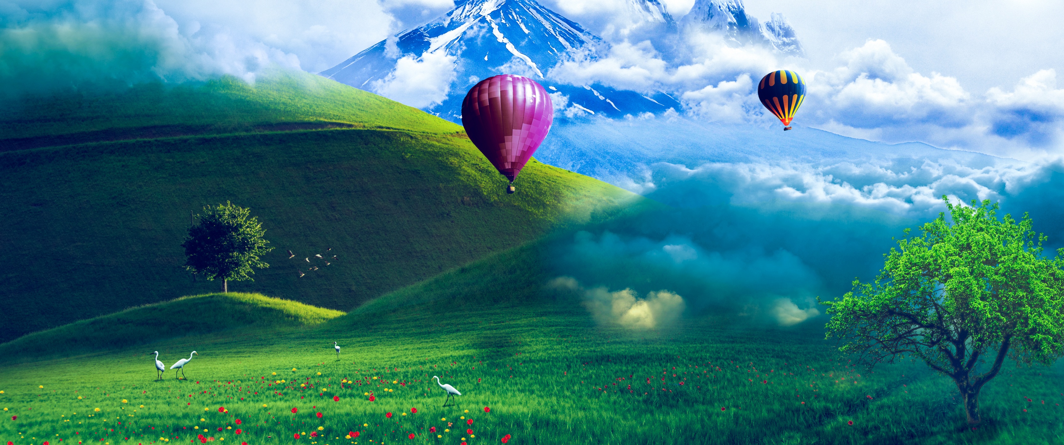 Hot air balloons Wallpaper 4K, Scenery, Landscape, Greenery
