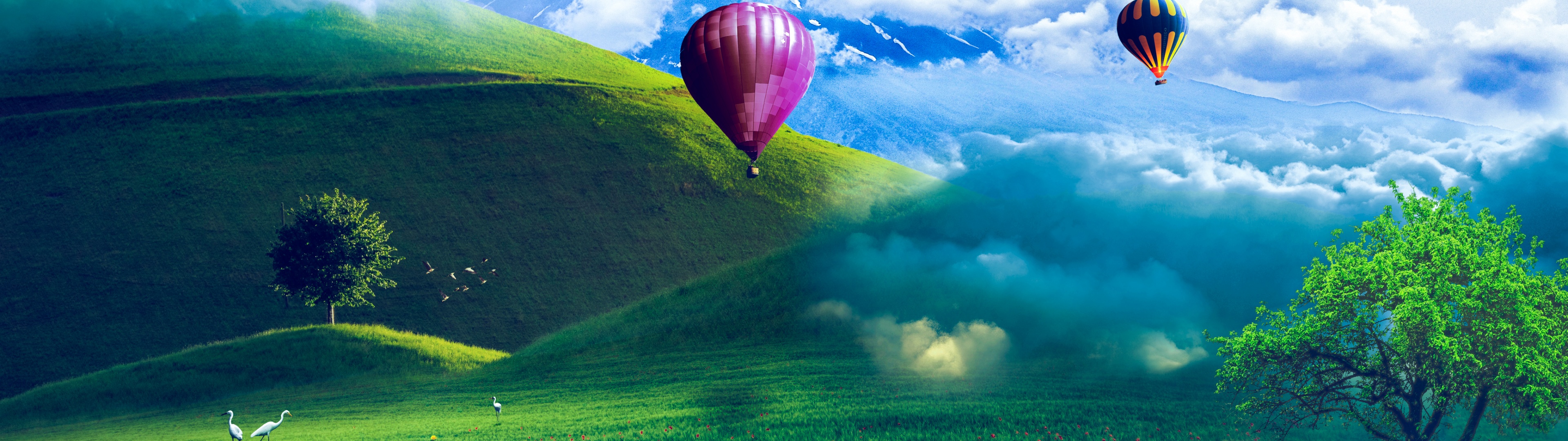 Hot air balloons Wallpaper 4K, Scenery, Landscape, Greenery