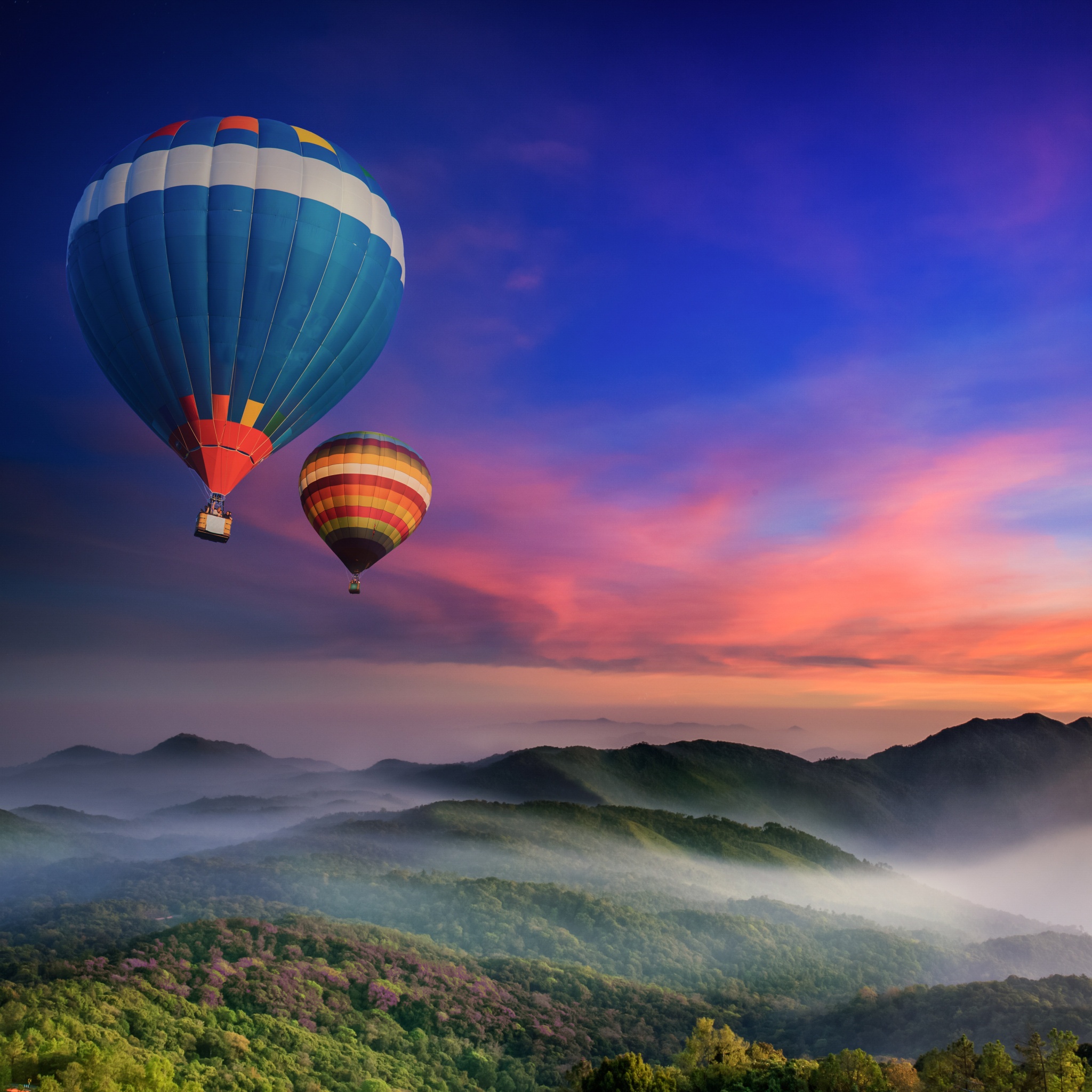 Hot air balloons 4K Wallpaper, Doi Inthanon National Park, Sunrise