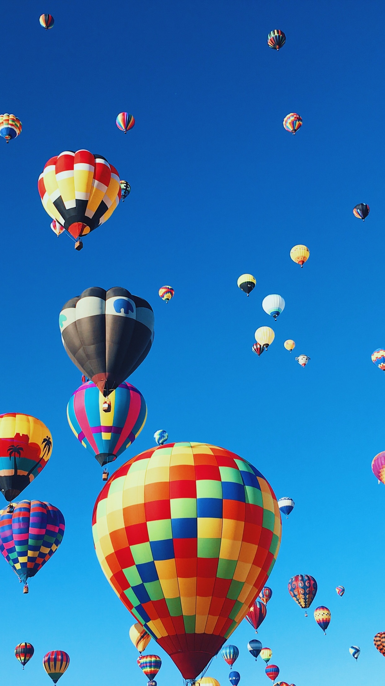Hot air balloons Wallpaper 4K, Festival, Colorful, Blue Sky, Aesthetic