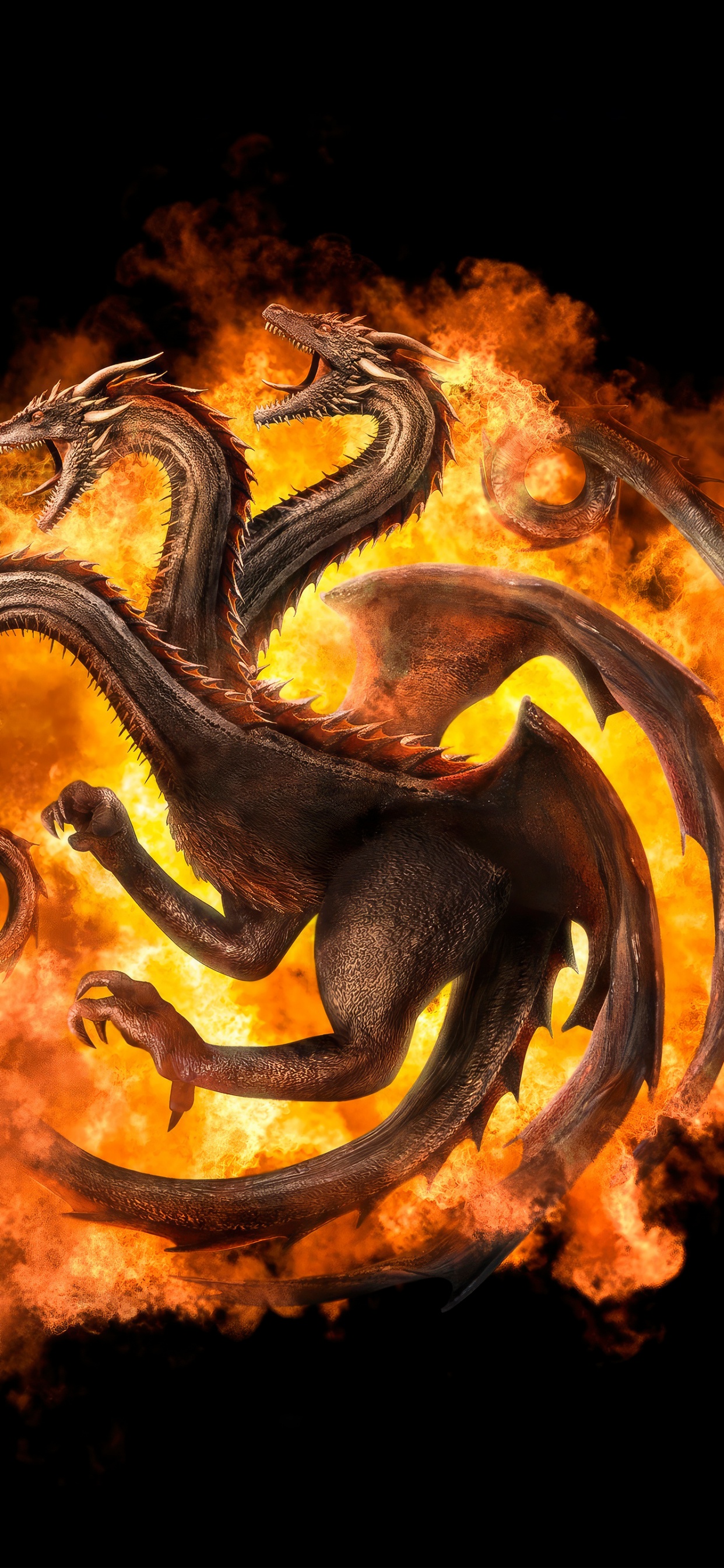Fire Dragon Black Wallpapers  Fire Dragon Wallpapers iPhone 4k