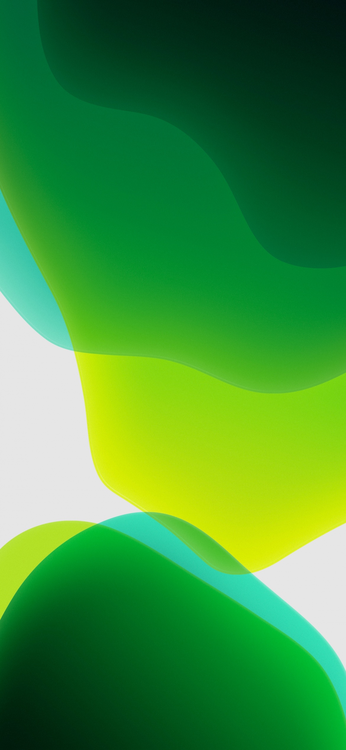 iPadOS Wallpaper 4K, Stock, Green, White background, iPad, iOS 13, HD