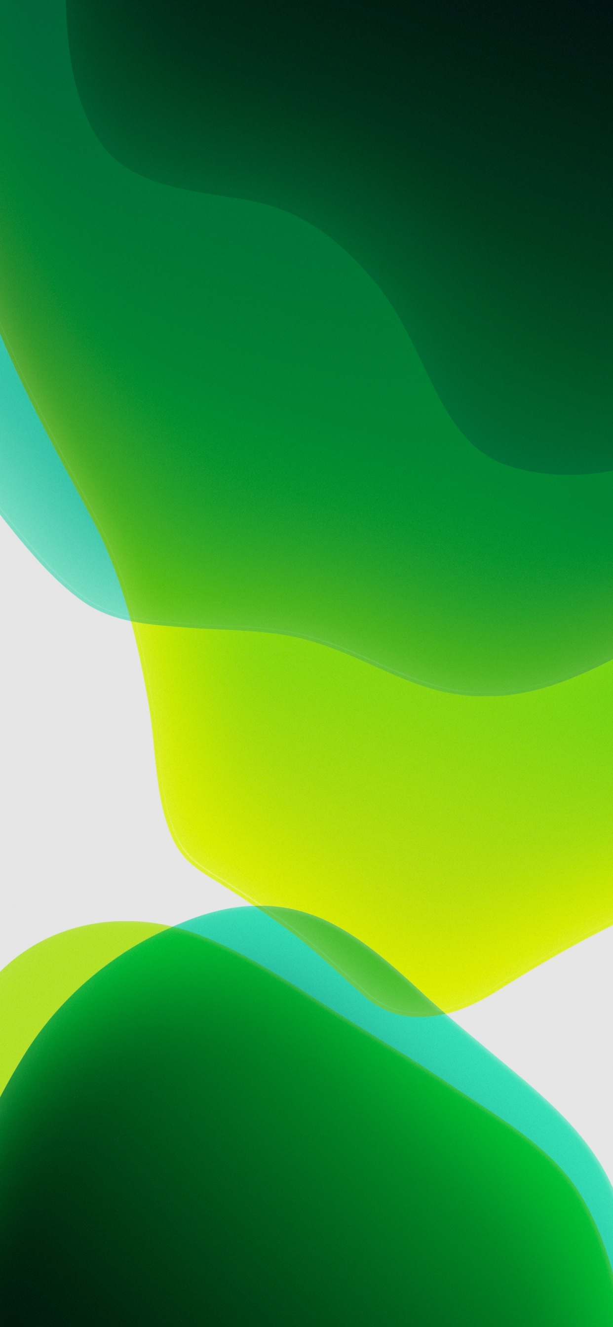 iPadOS Wallpaper 4K, Green, Stock, White background