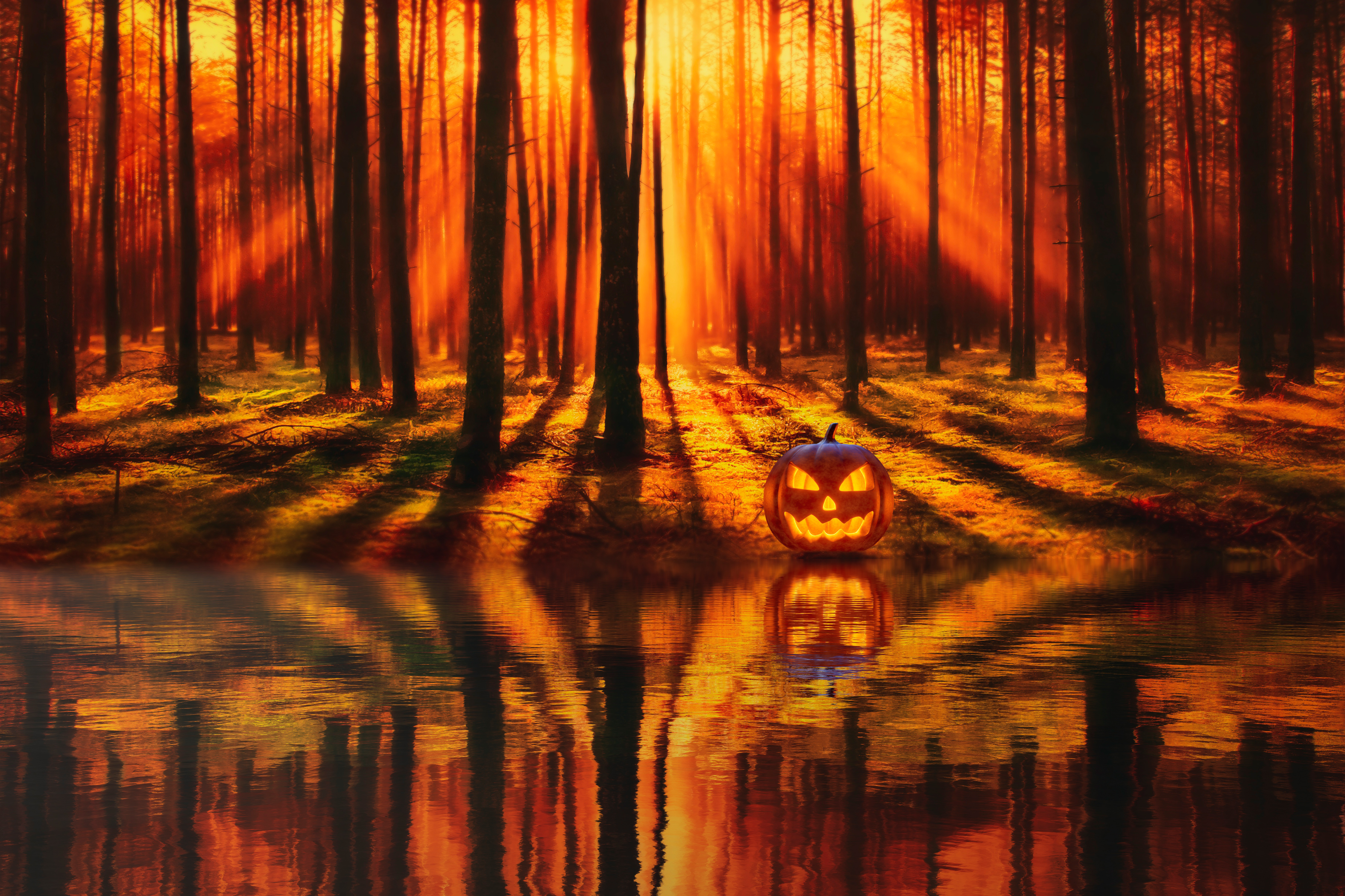 Freebies 60 Fall Wallpapers For Your Phone  Halloween wallpaper iphone  Iphone wallpaper fall Fall wallpaper