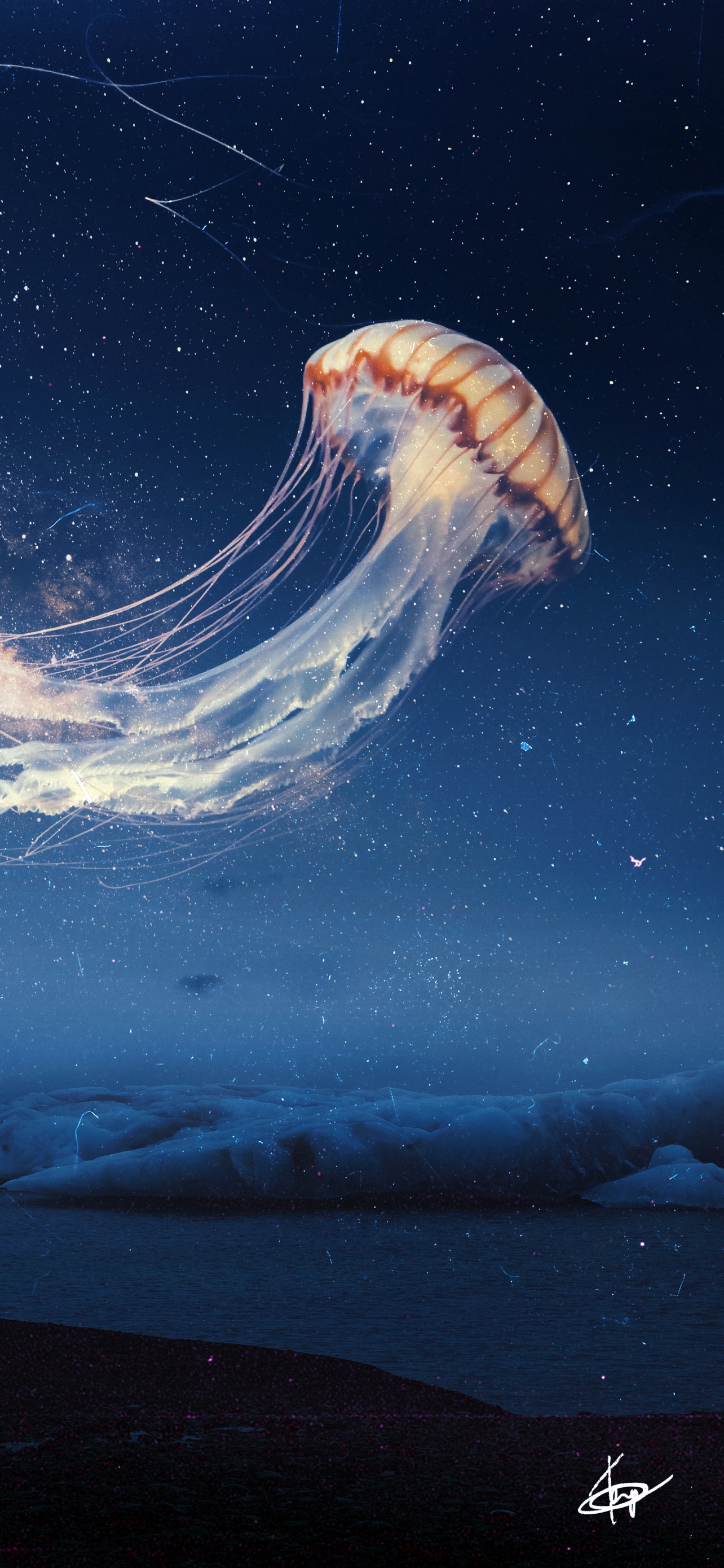 Jellyfish Wallpaper 4K, Dream, Surreal, Fantasy, #1062