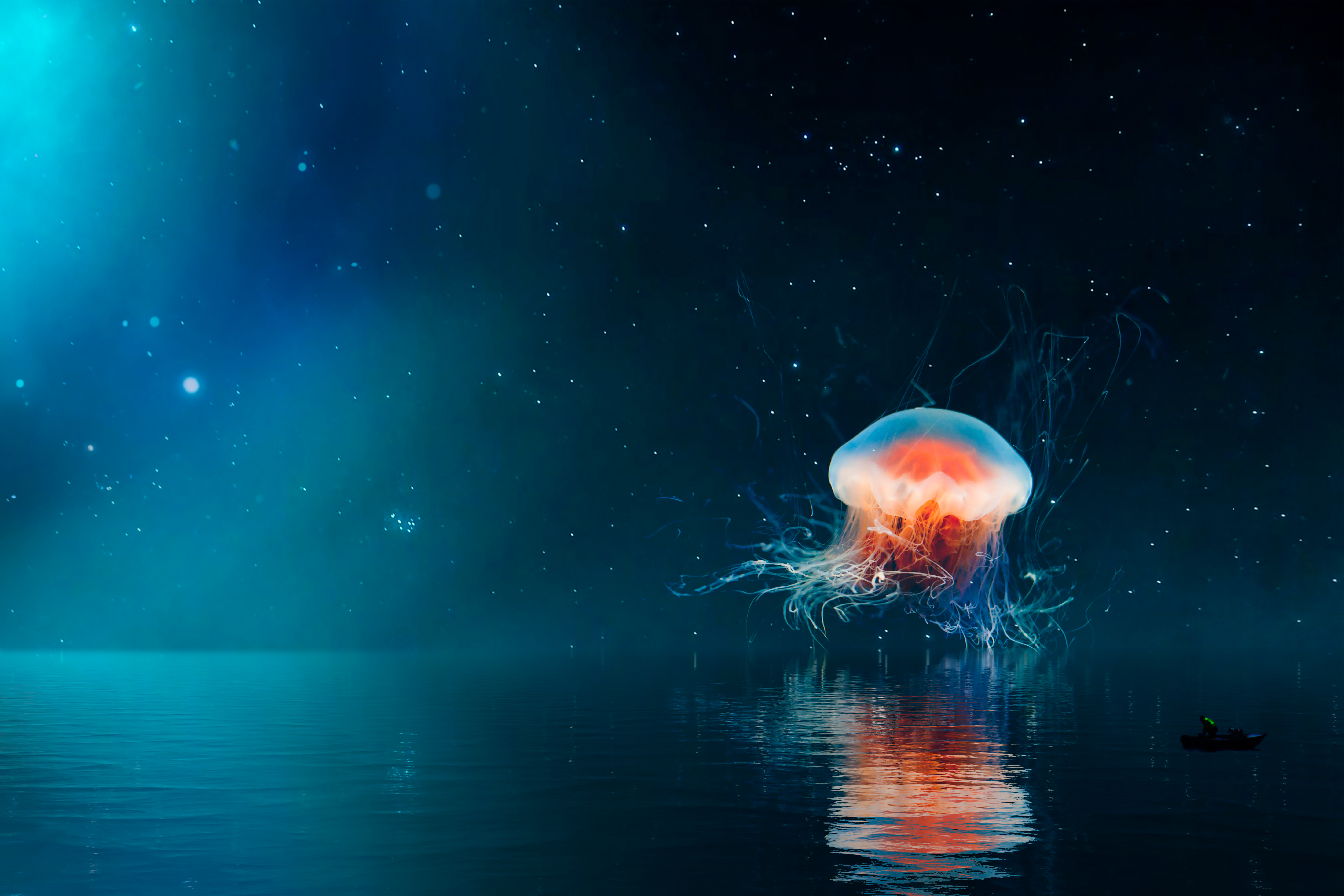 Wallpaper ID: 247675 / jellyfish bioluminescence underwater and water hd, 4k  Phone Wallpaper