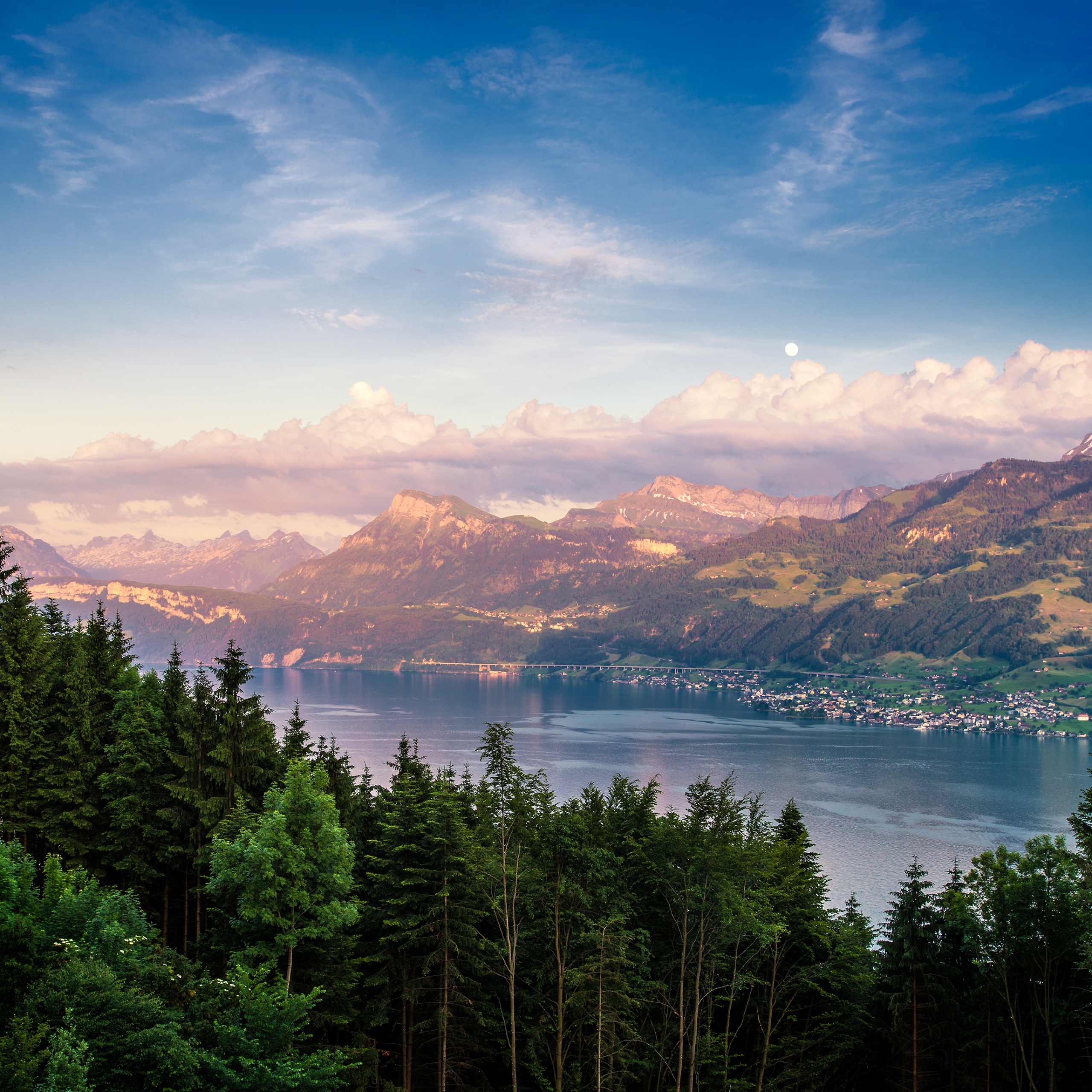 Lake Zurich Wallpaper 4K, Switzerland, Landscape, Trees, Nature, #4062