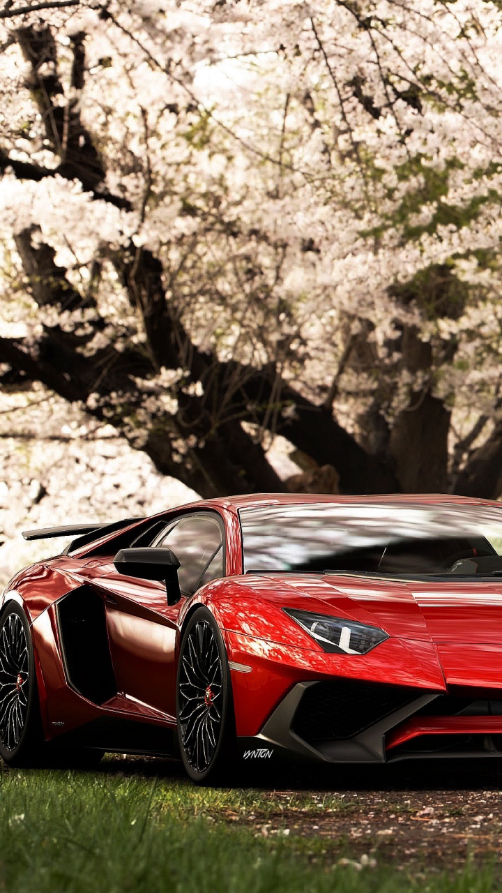 Lamborghini Aventador SV Wallpaper 4K, Cherry trees, Cherry blossom, Spring, Cars, #1411