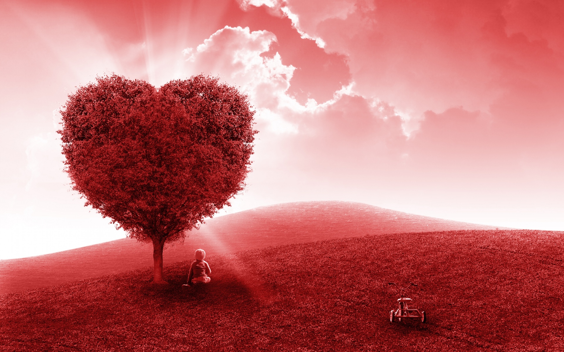 Download A Red Heart Shaped Tree In A Field Wallpaper | Wallpapers.com