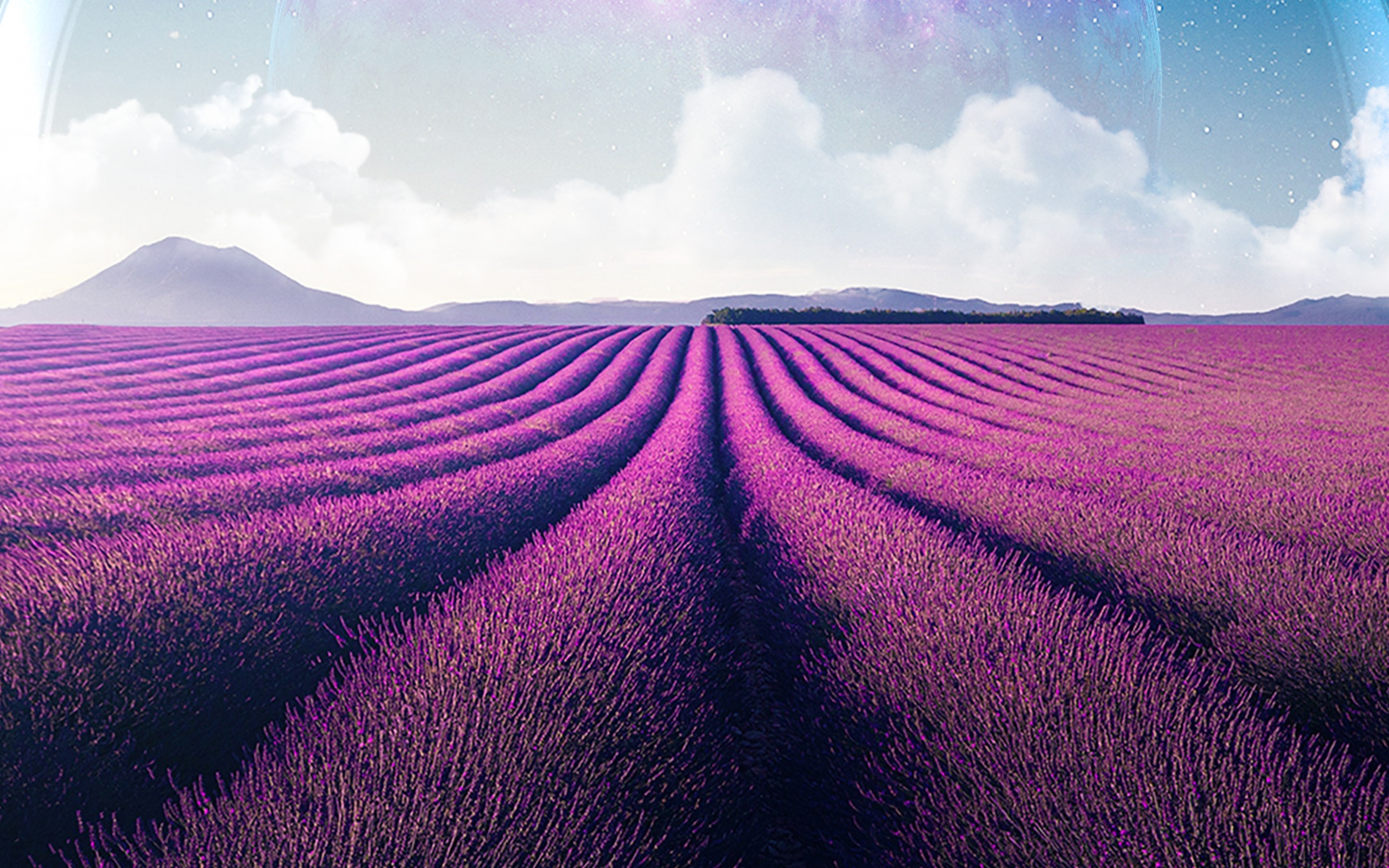 Lavender fields Wallpaper 4K, Lavender farm, Nature, #1135