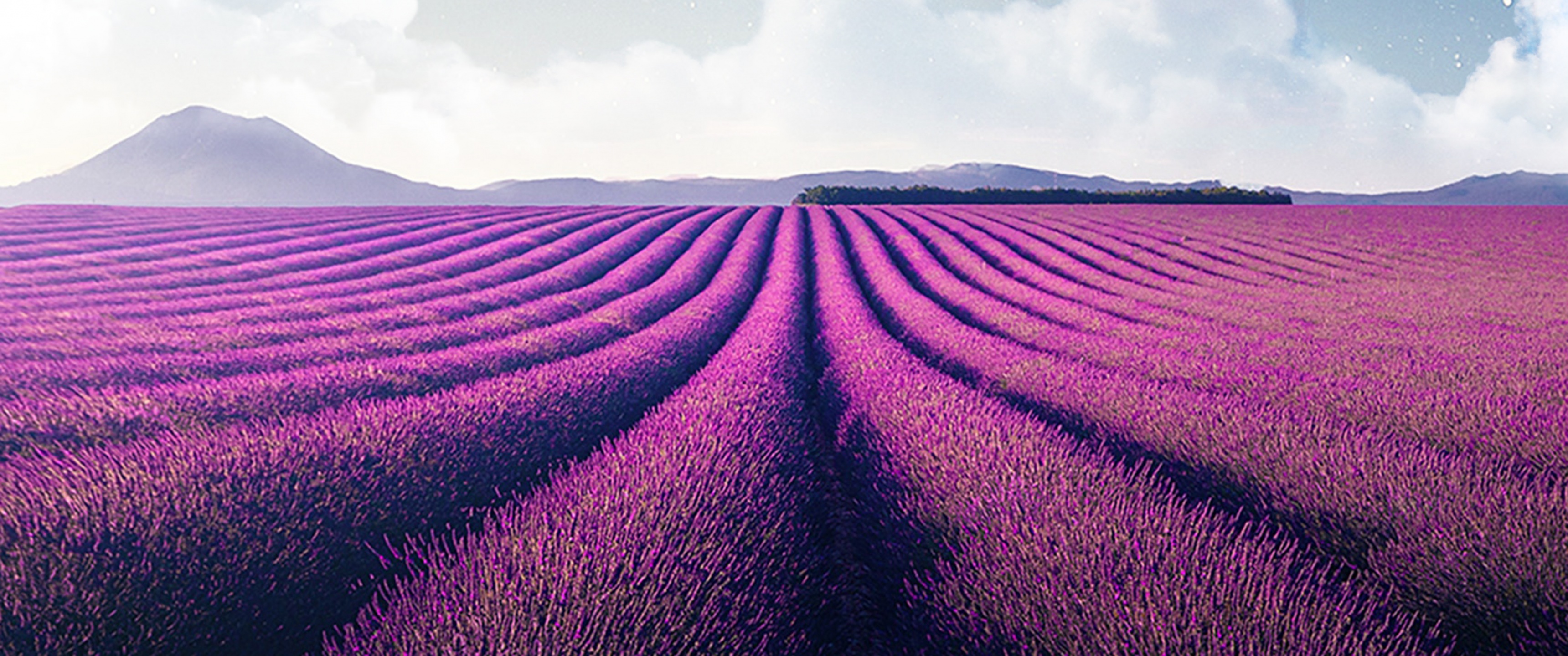 Download wallpaper 1350x2400 lavender field mountain landscape art  iphone 876s6 for parallax hd background