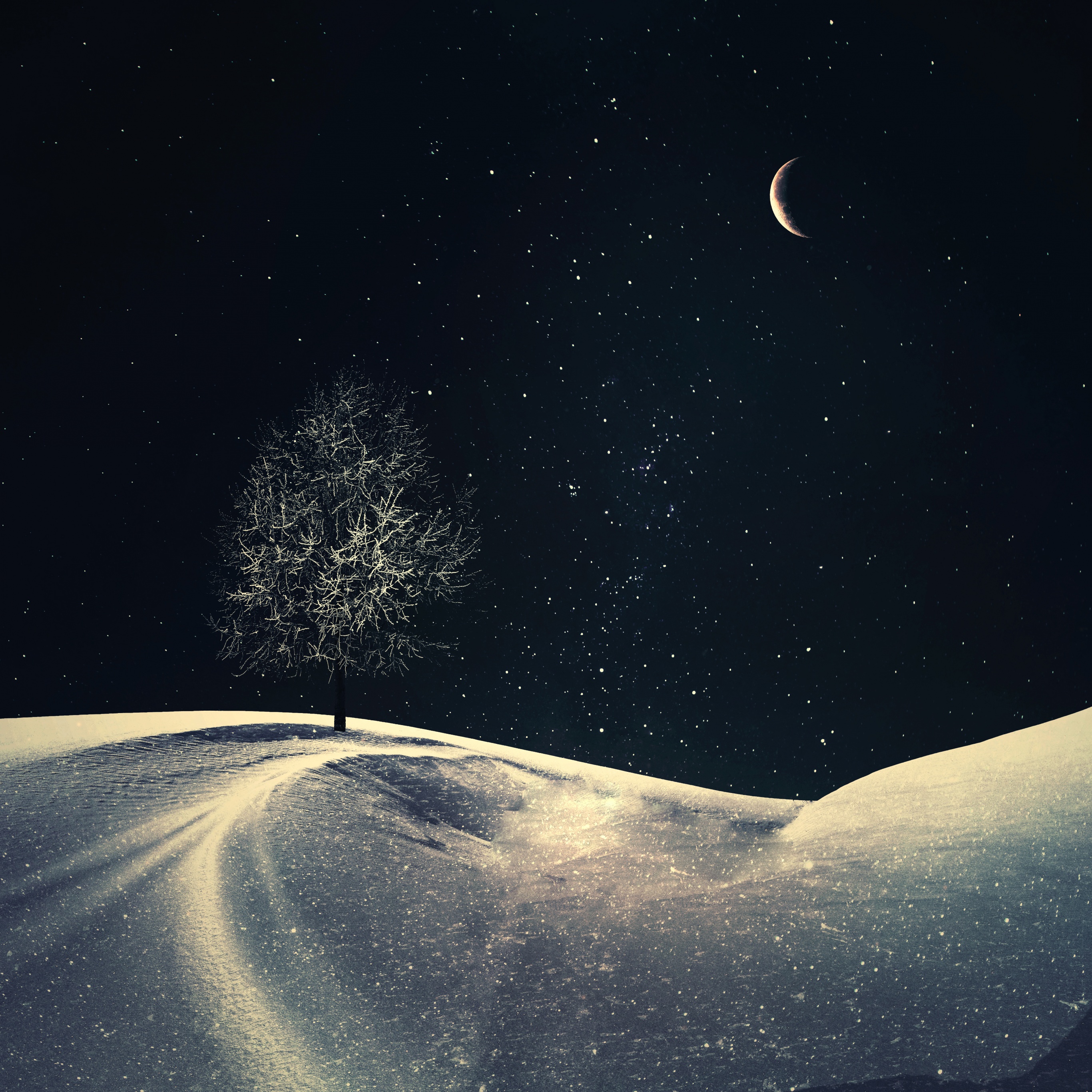 Lone tree Wallpaper 4K, Crescent Moon, Night, Nature, #7702