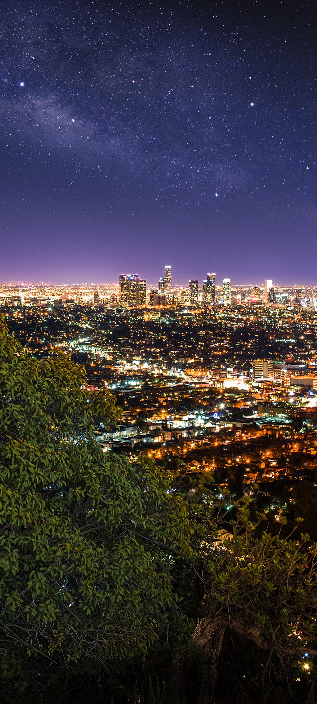 12500 Los Angeles At Night Stock Photos Pictures  RoyaltyFree Images   iStock  City of los angeles at night Downtown los angeles at night