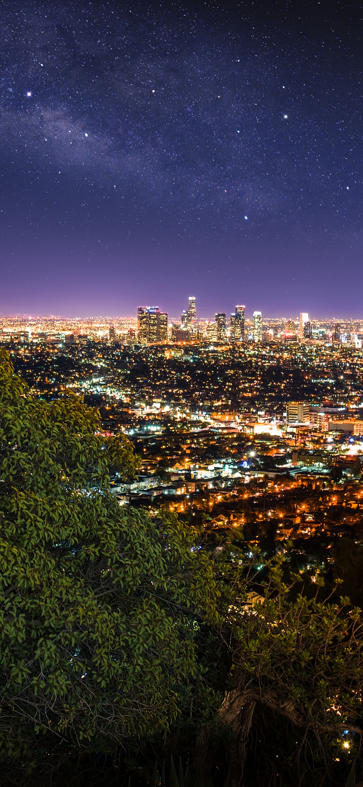Timelapse Los Angeles Wallpaper for iPhone 11 Pro Max X 8 7 6  Free  Download on 3Wallpapers