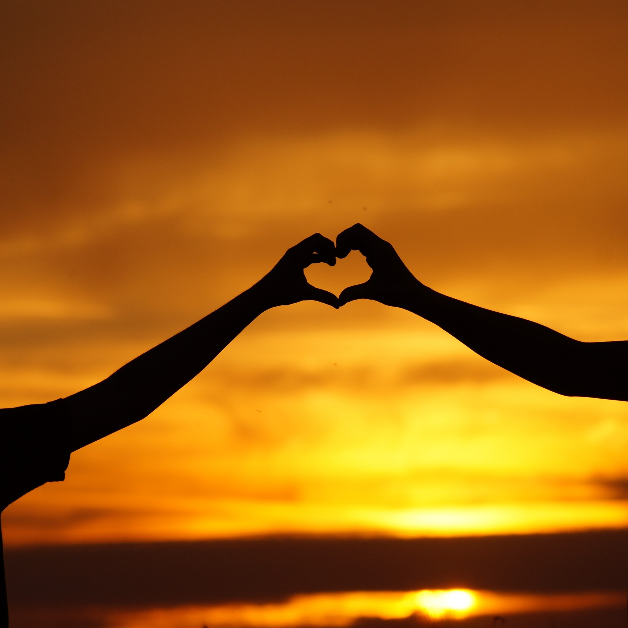 Heart Hands Photos Download The BEST Free Heart Hands Stock Photos  HD  Images